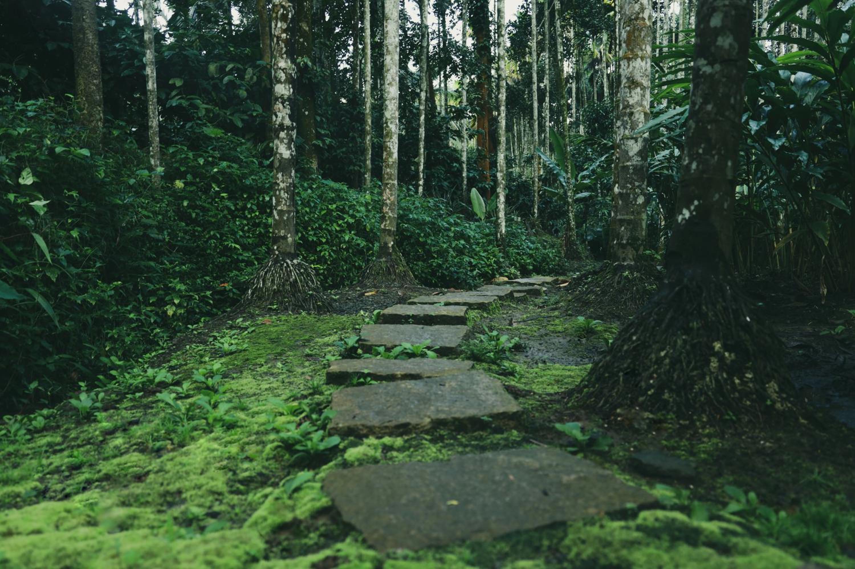 children's play area