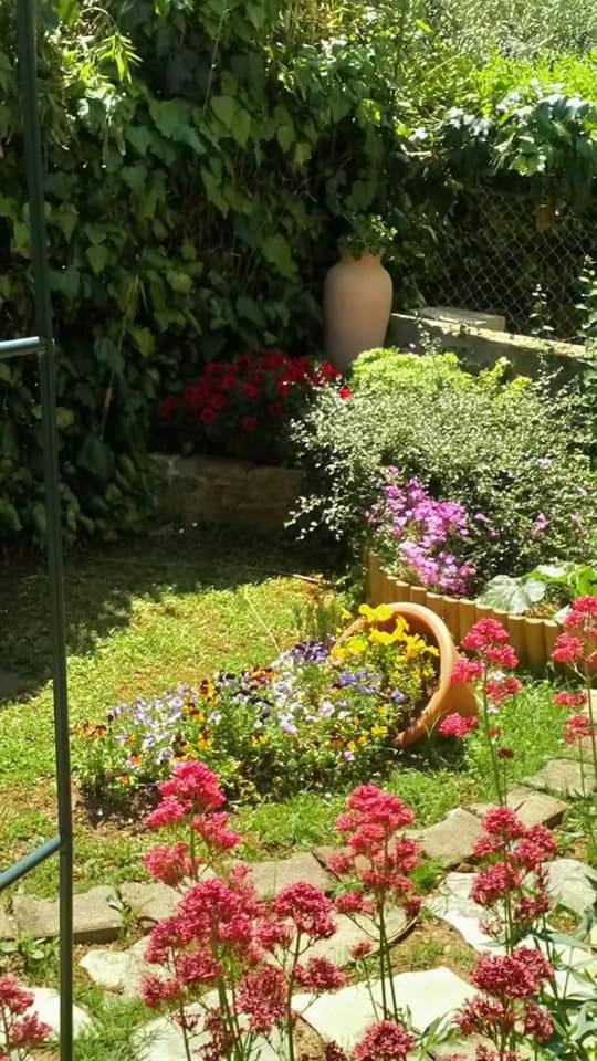 Photo 13