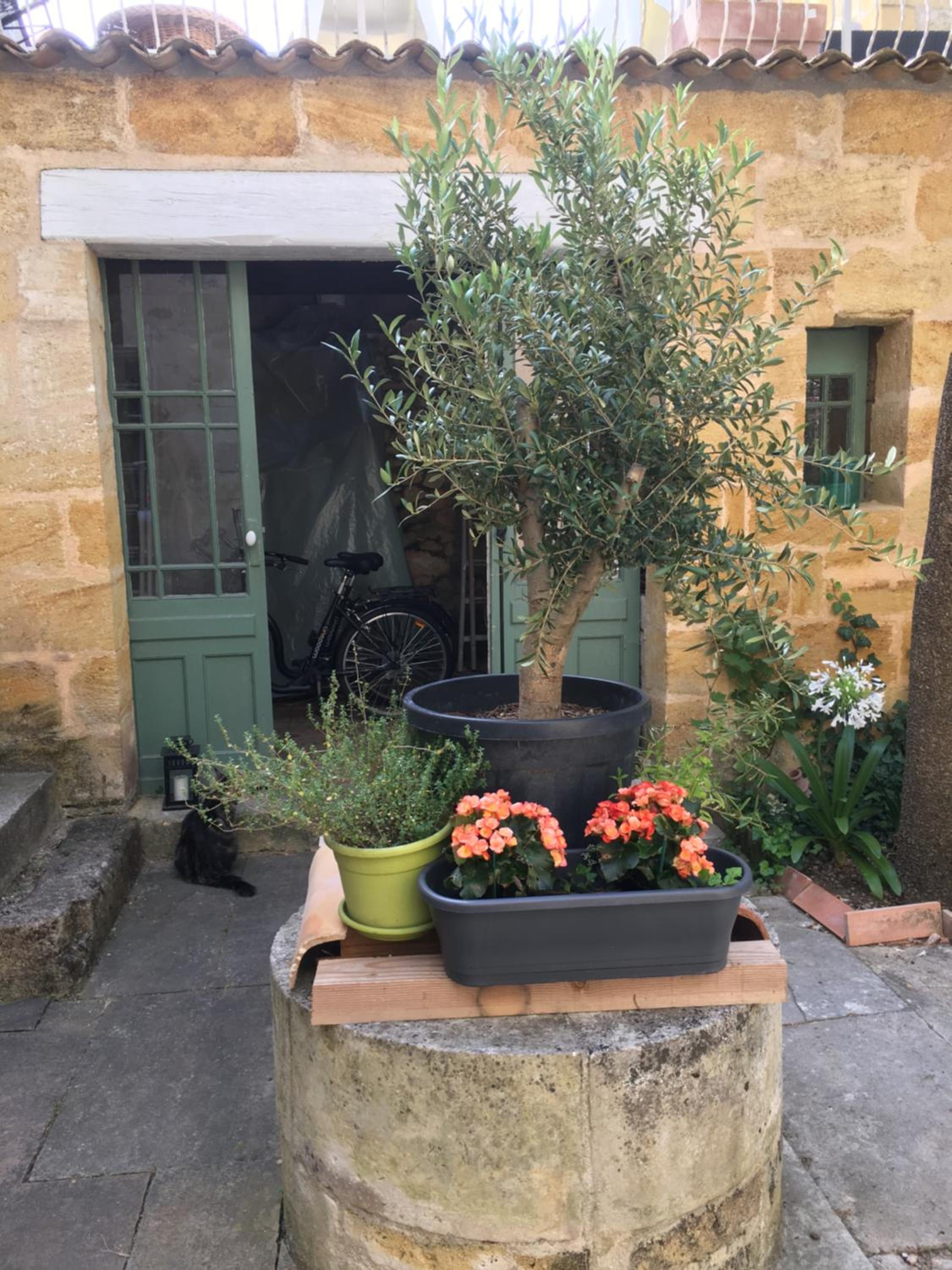 Maison de Maître Elegia view 2