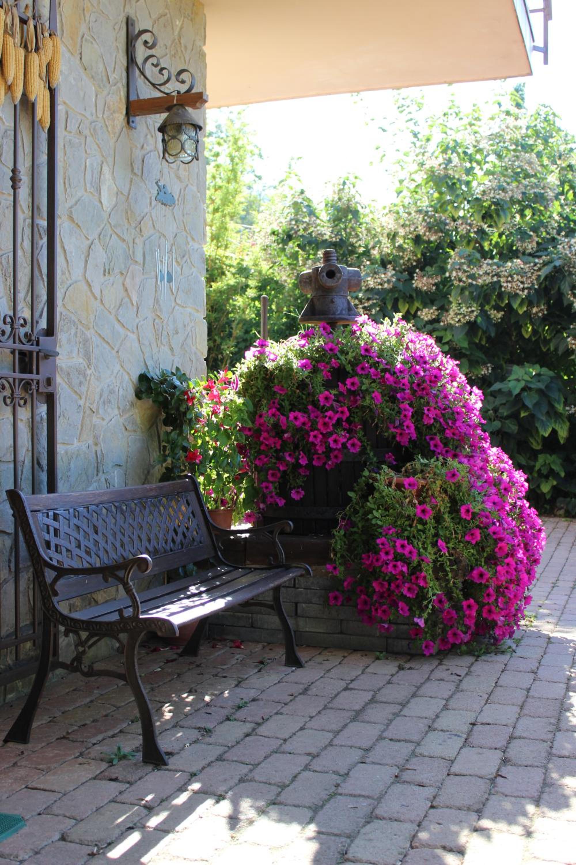 Agriturismo Nonno Tobia