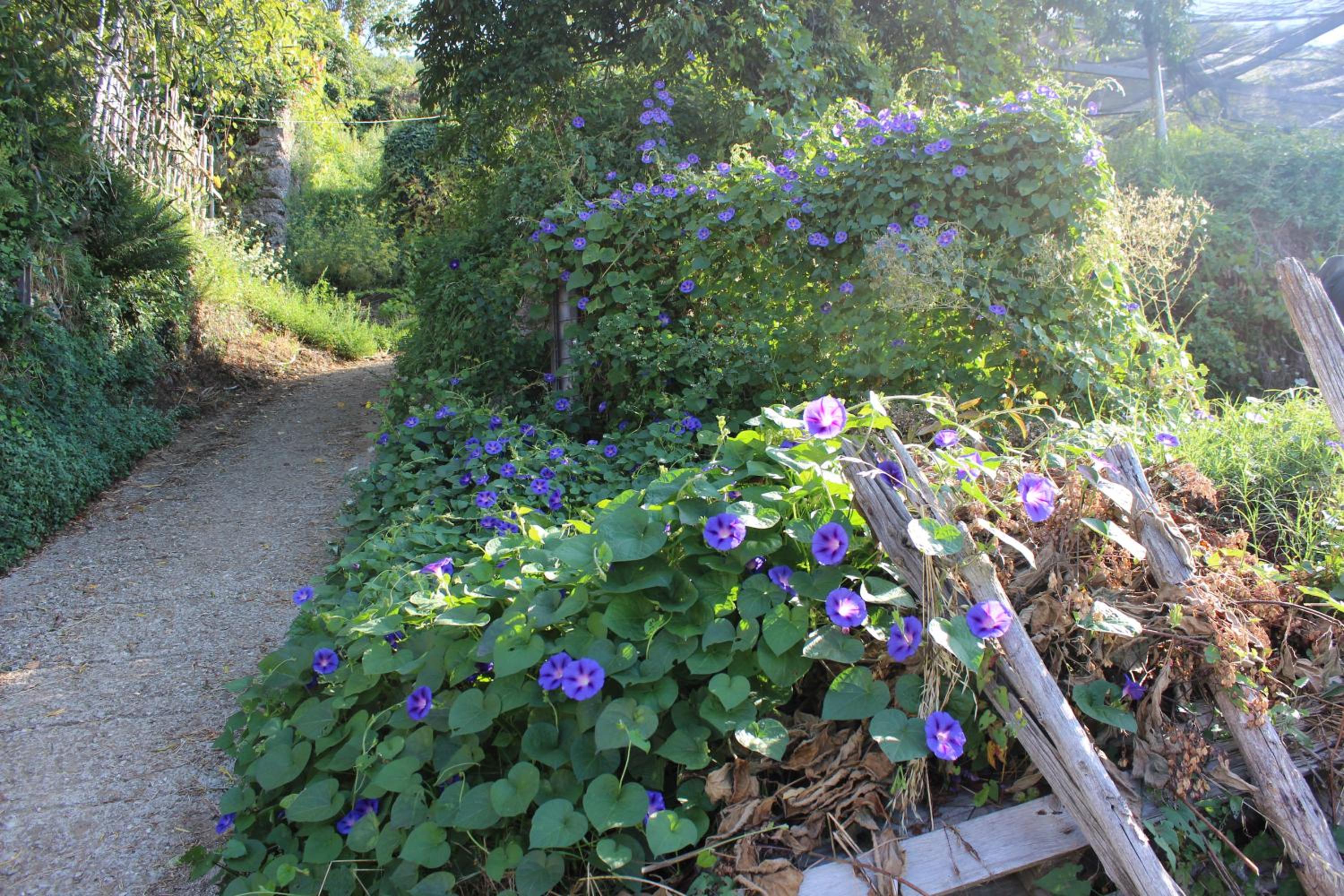 Agriturismo Nonno Tobia