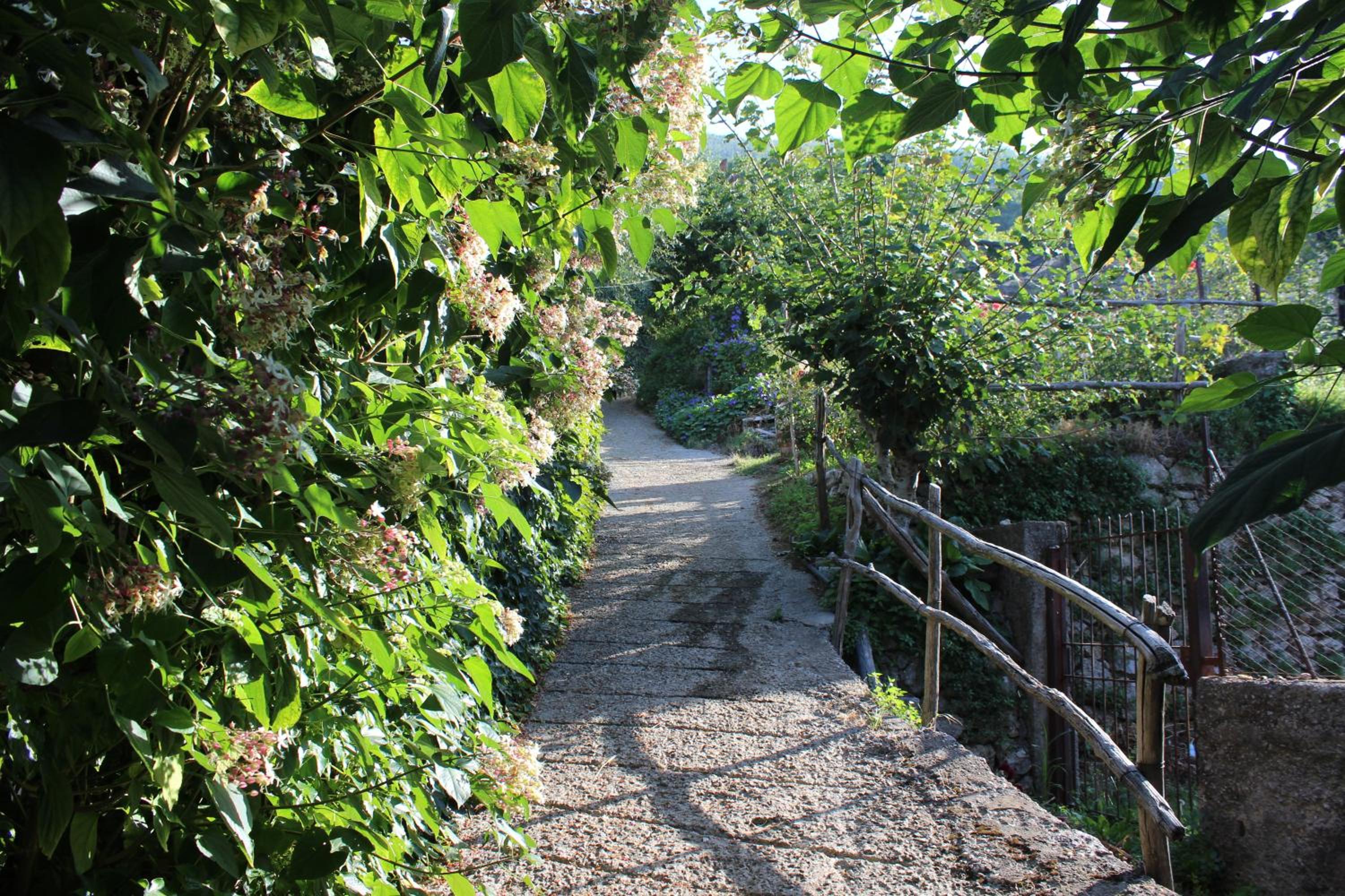 Agriturismo Nonno Tobia