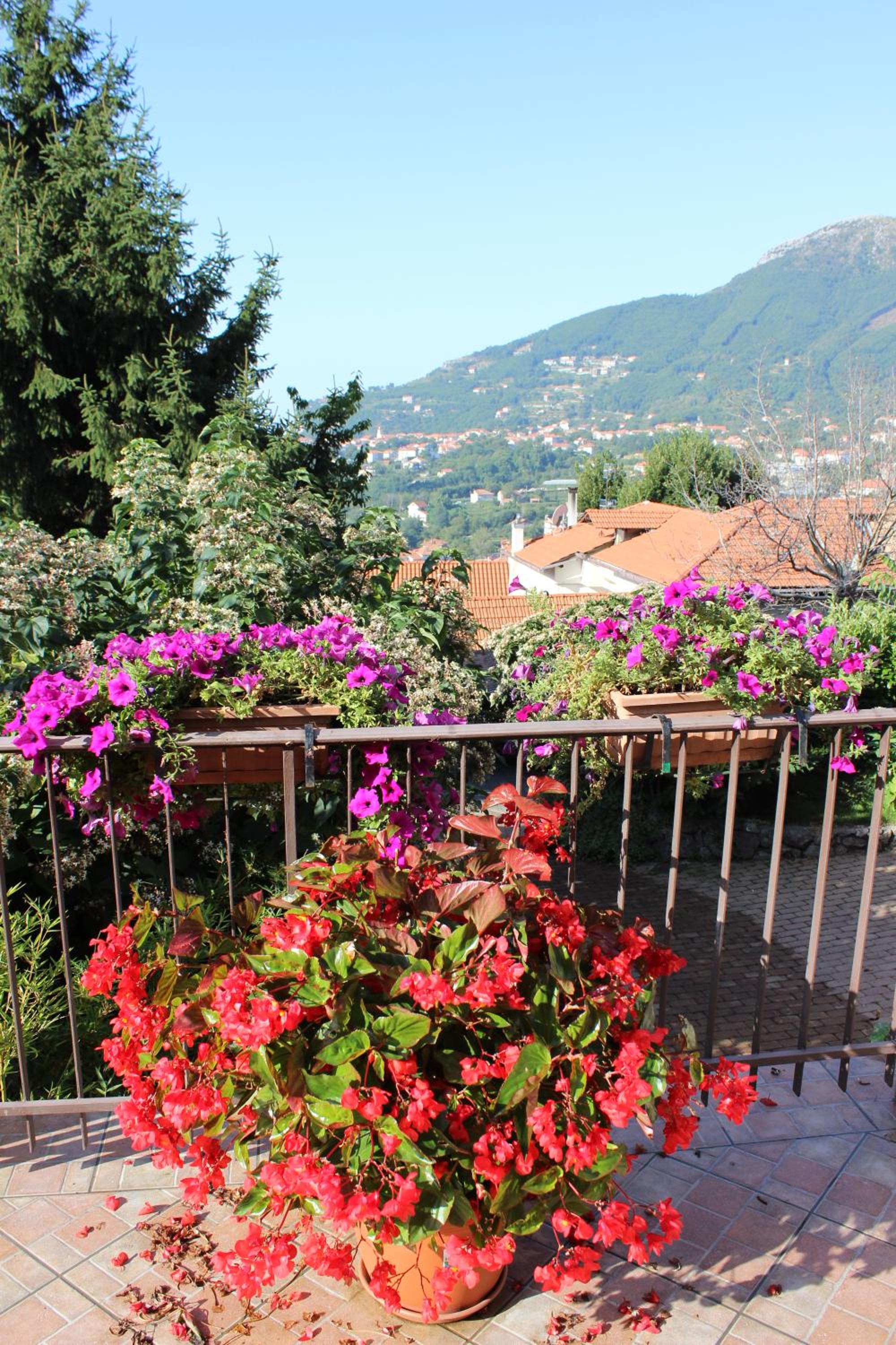 Agriturismo Nonno Tobia