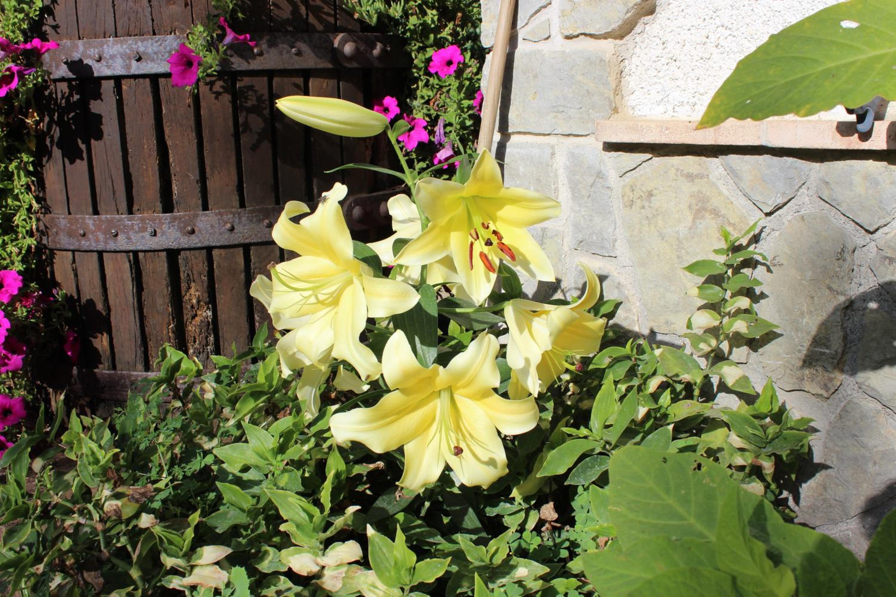 Agriturismo Nonno Tobia