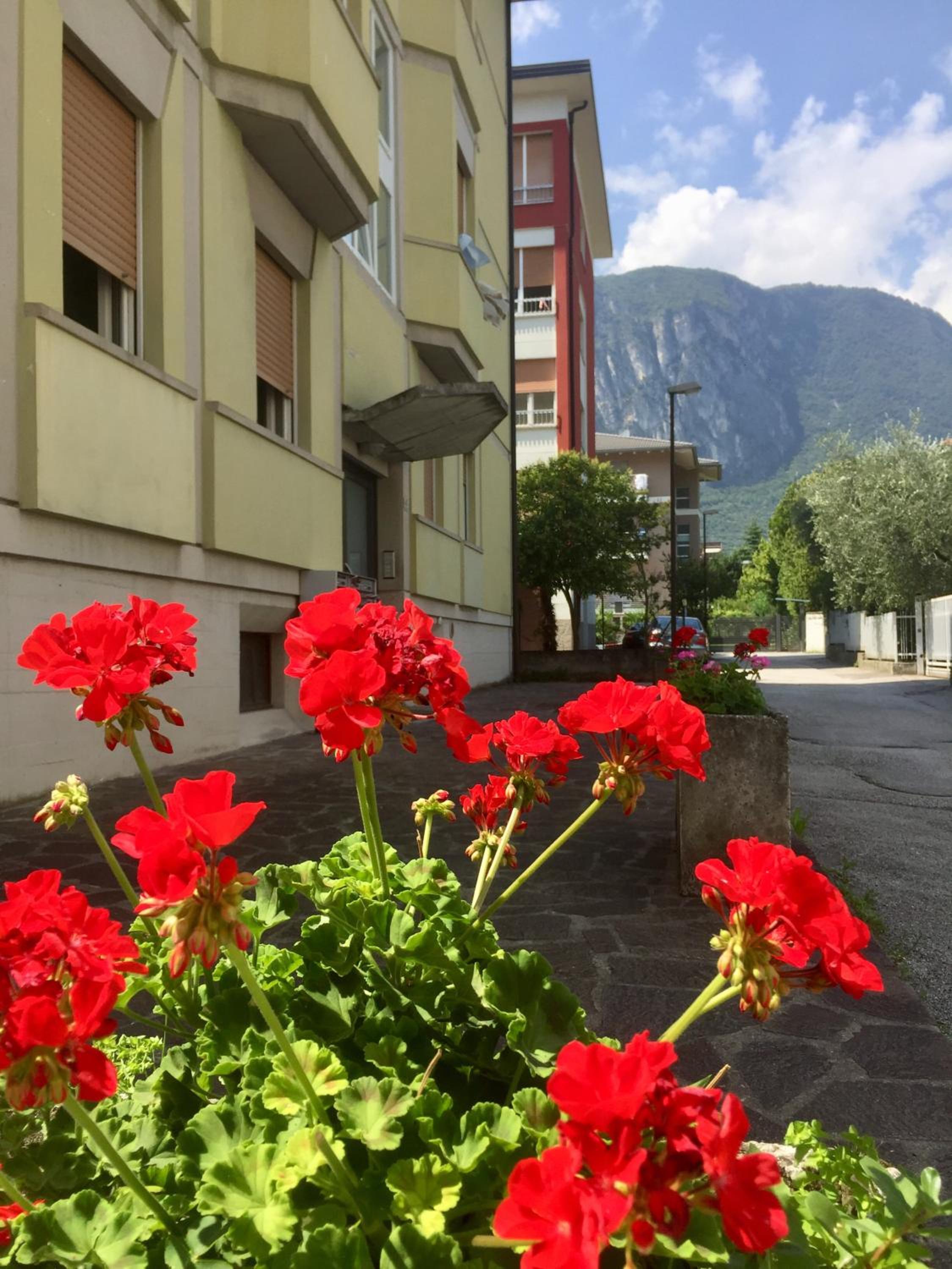 appartamento benaco photo 3