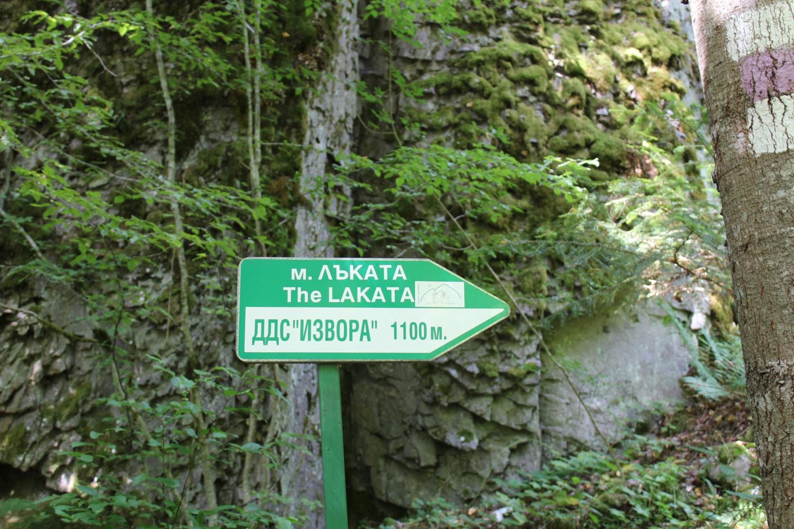 Pamporovo Hotel Snezhanka