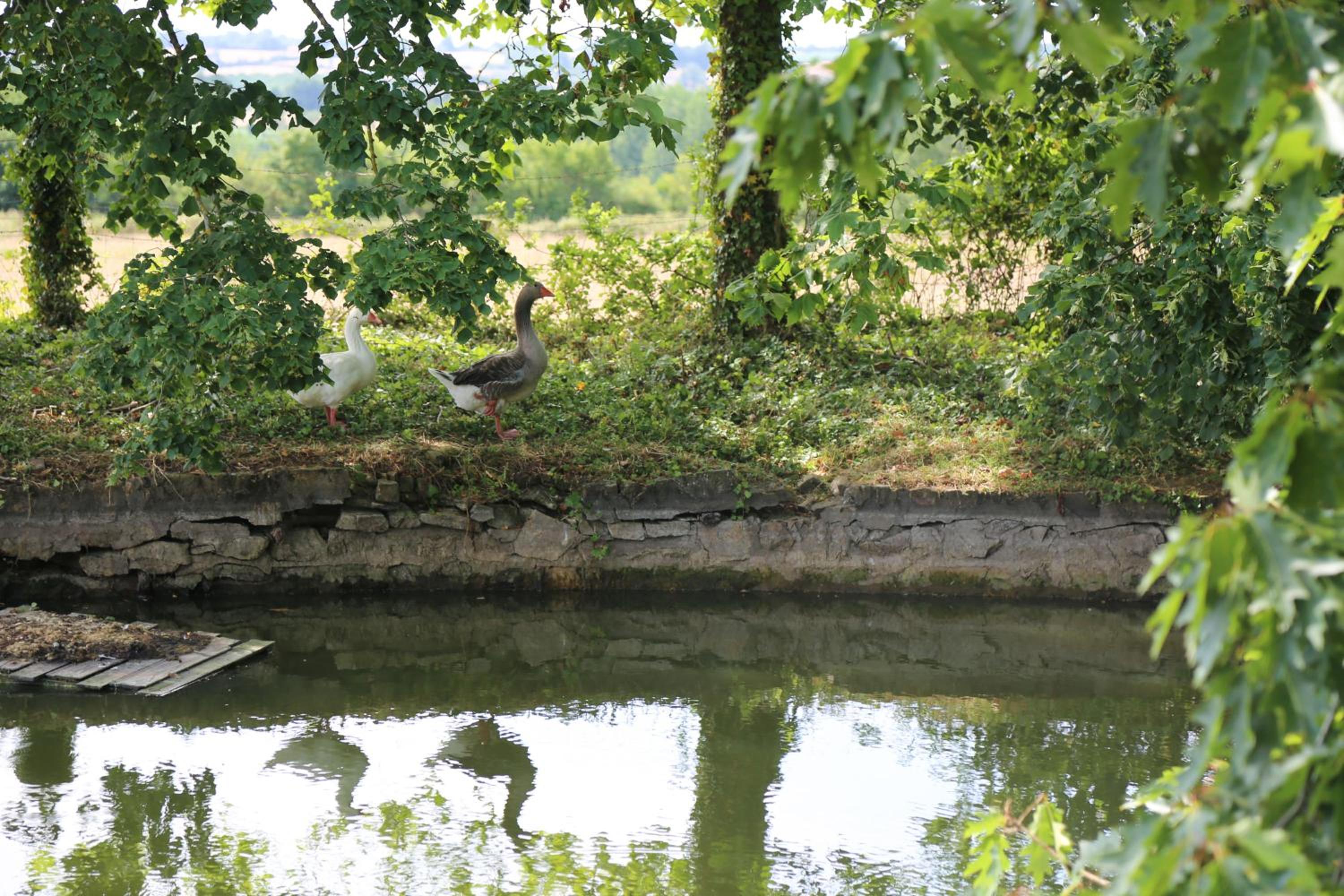 Château De La Frogerie