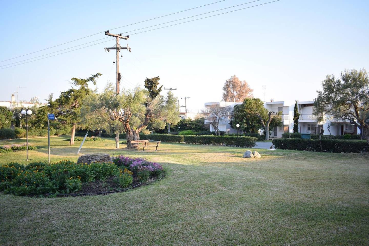 Photo 43