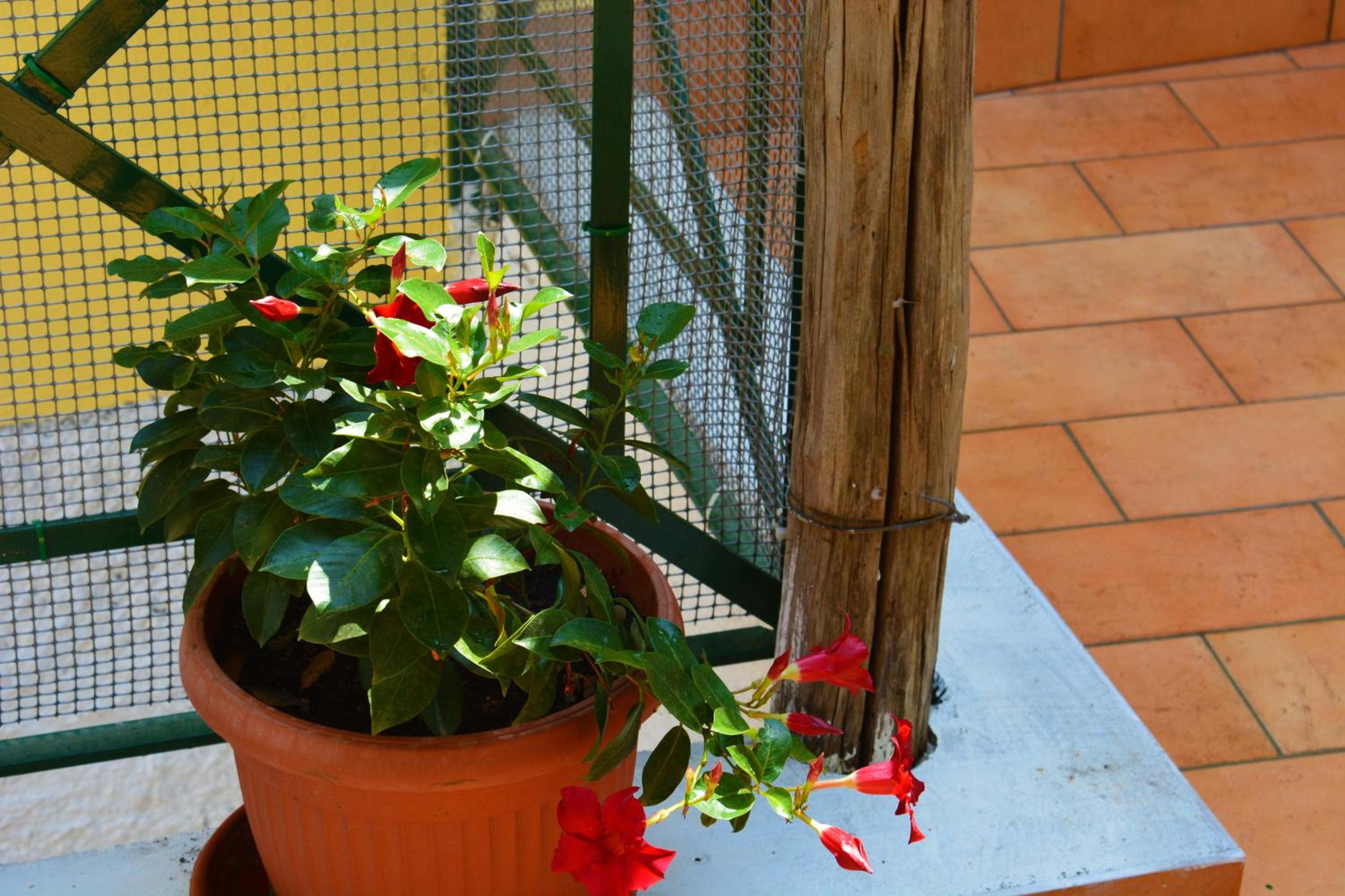 Photo 28