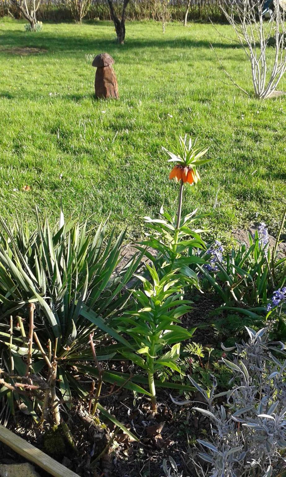 Photo 11