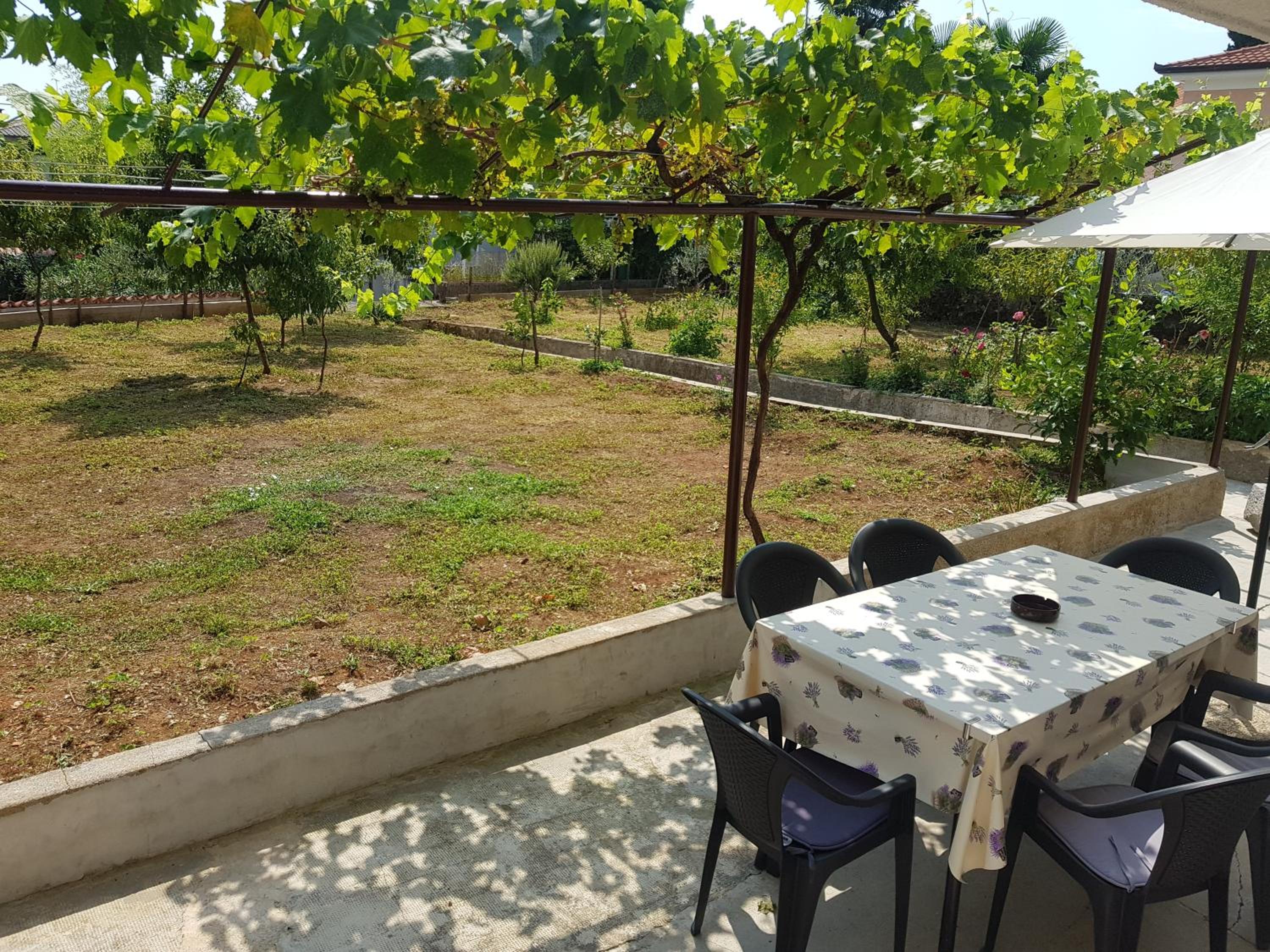 Apartman Ana