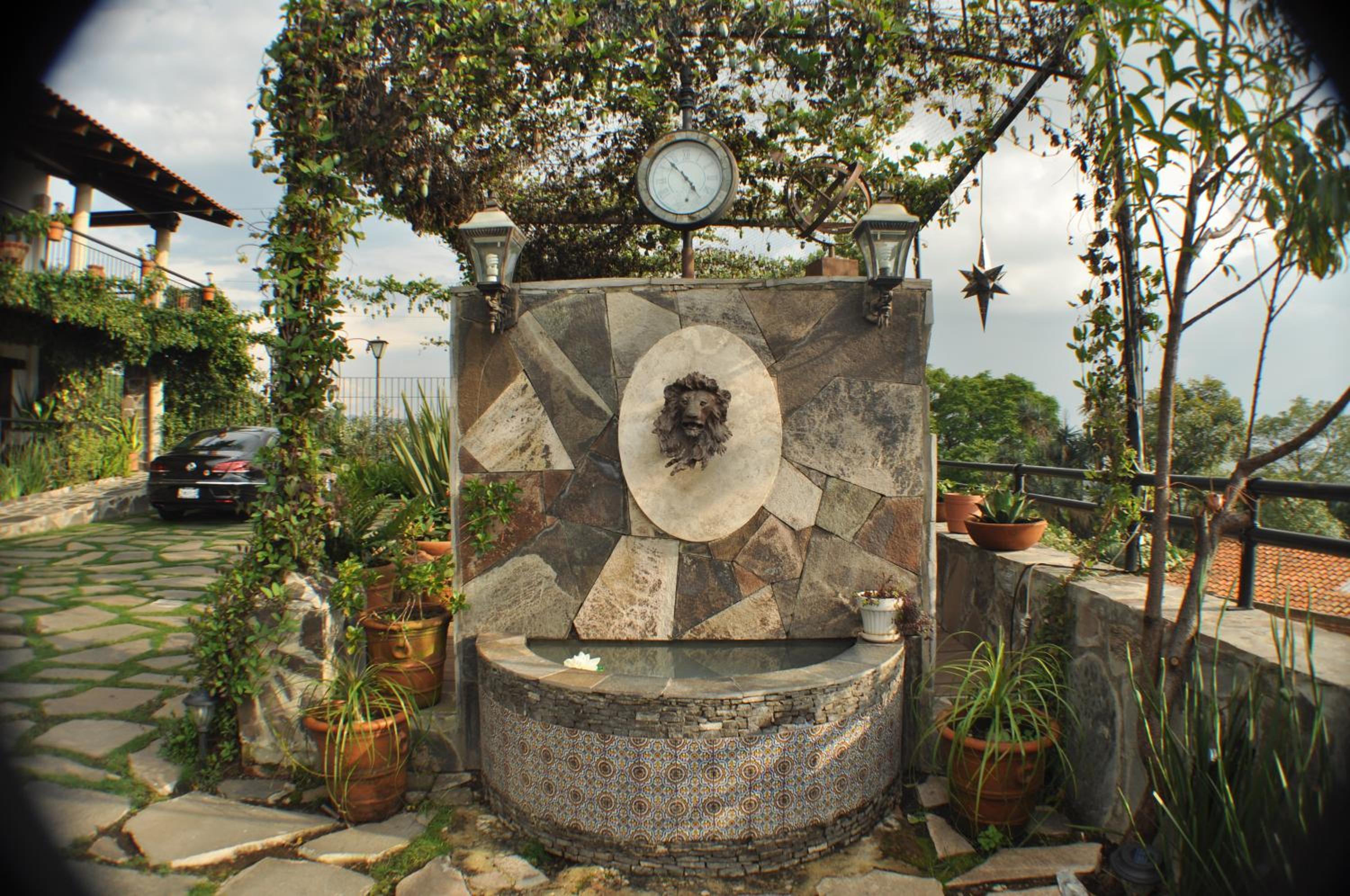 garden