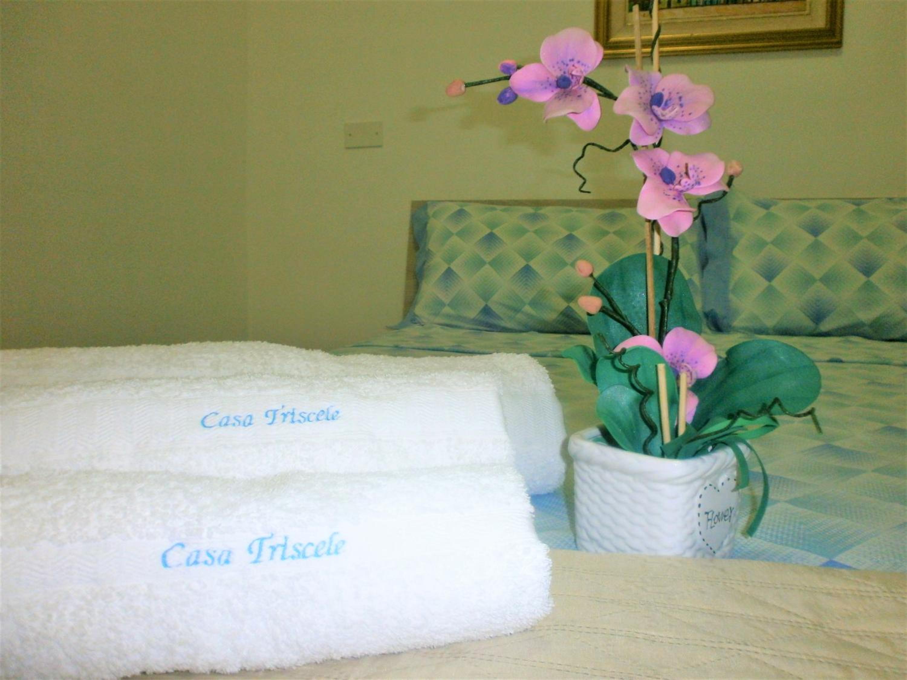 Casa Vacanze Triscele photo 2