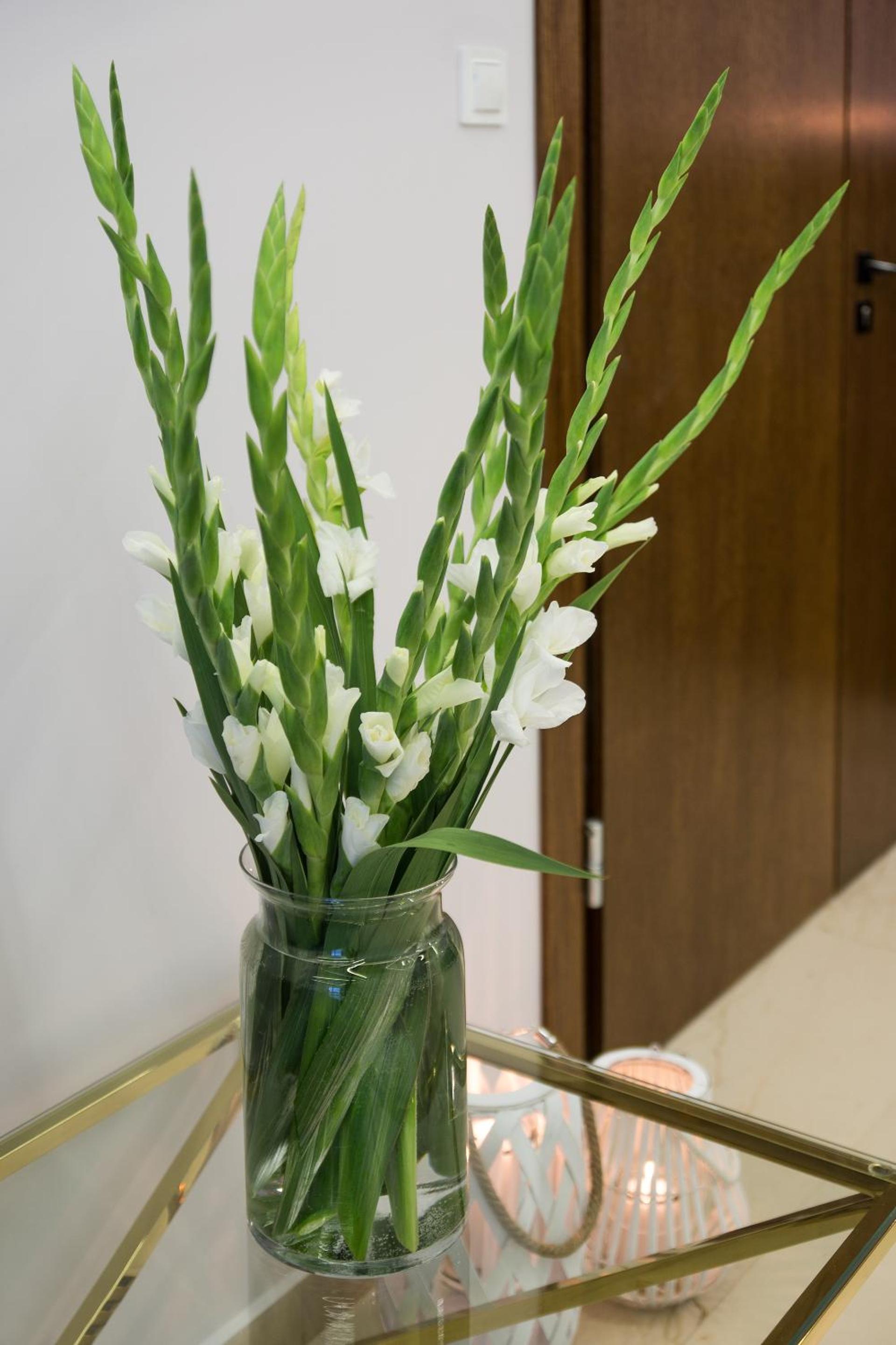 hotel reception