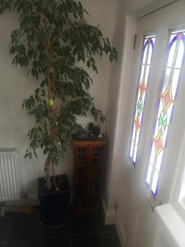 Photo 12