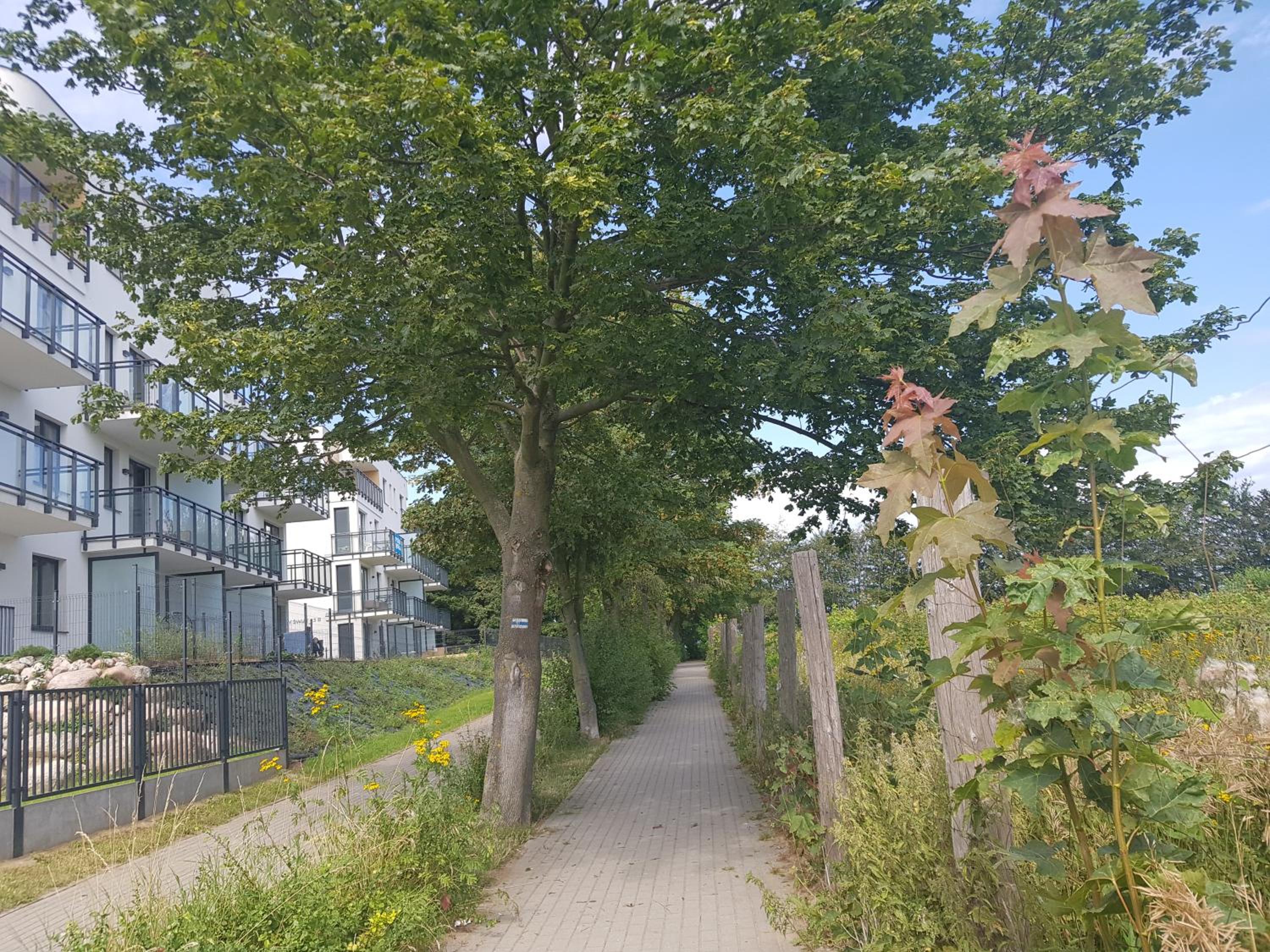 Photo 28
