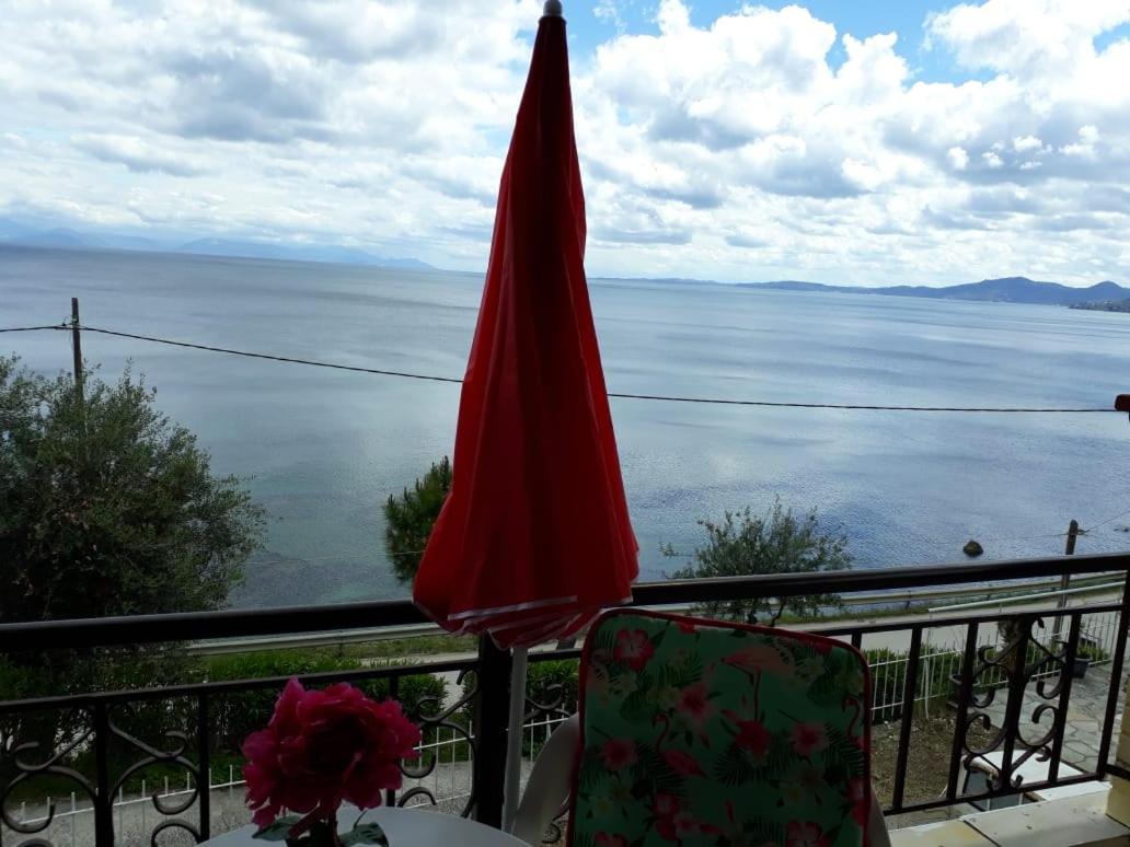 Sol e Mar Sea Side View Guesthouse