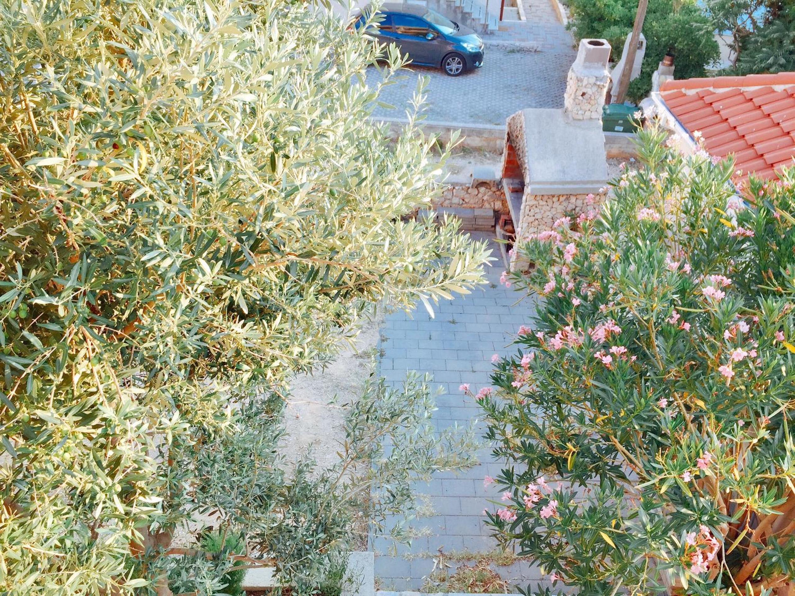 Photo 37