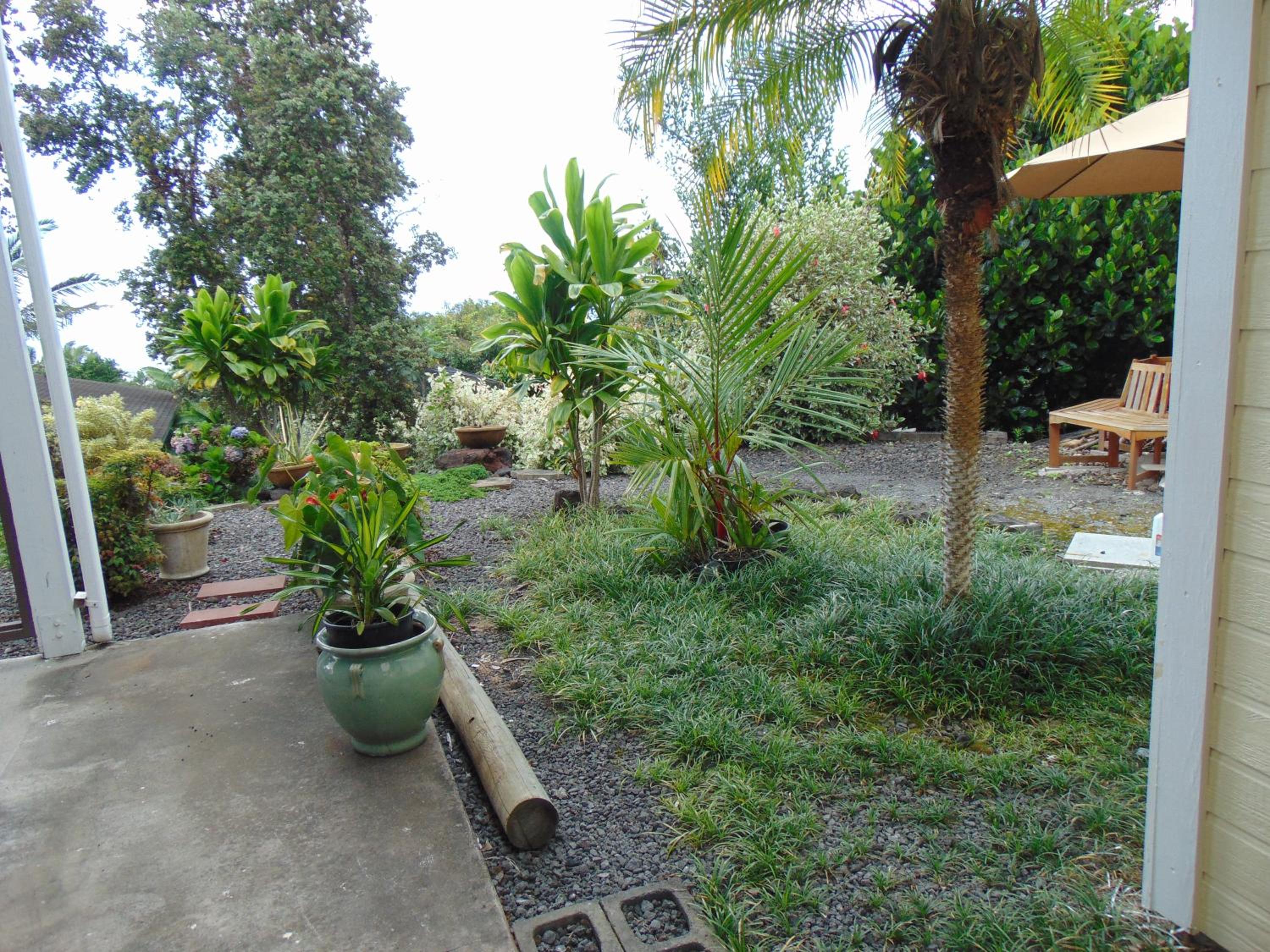 Coco-nut Hale view 4