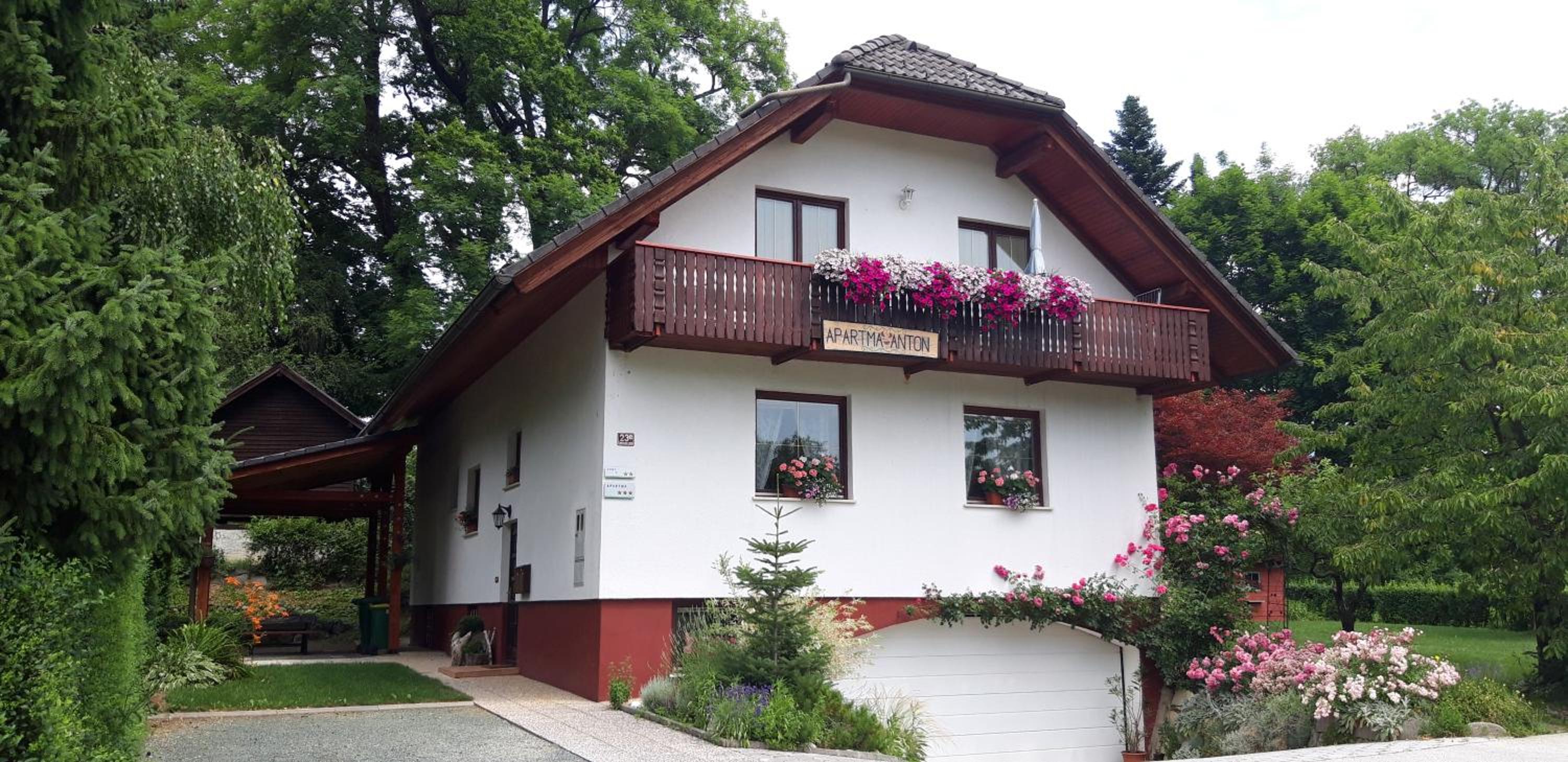 Hotel Apartma Anton