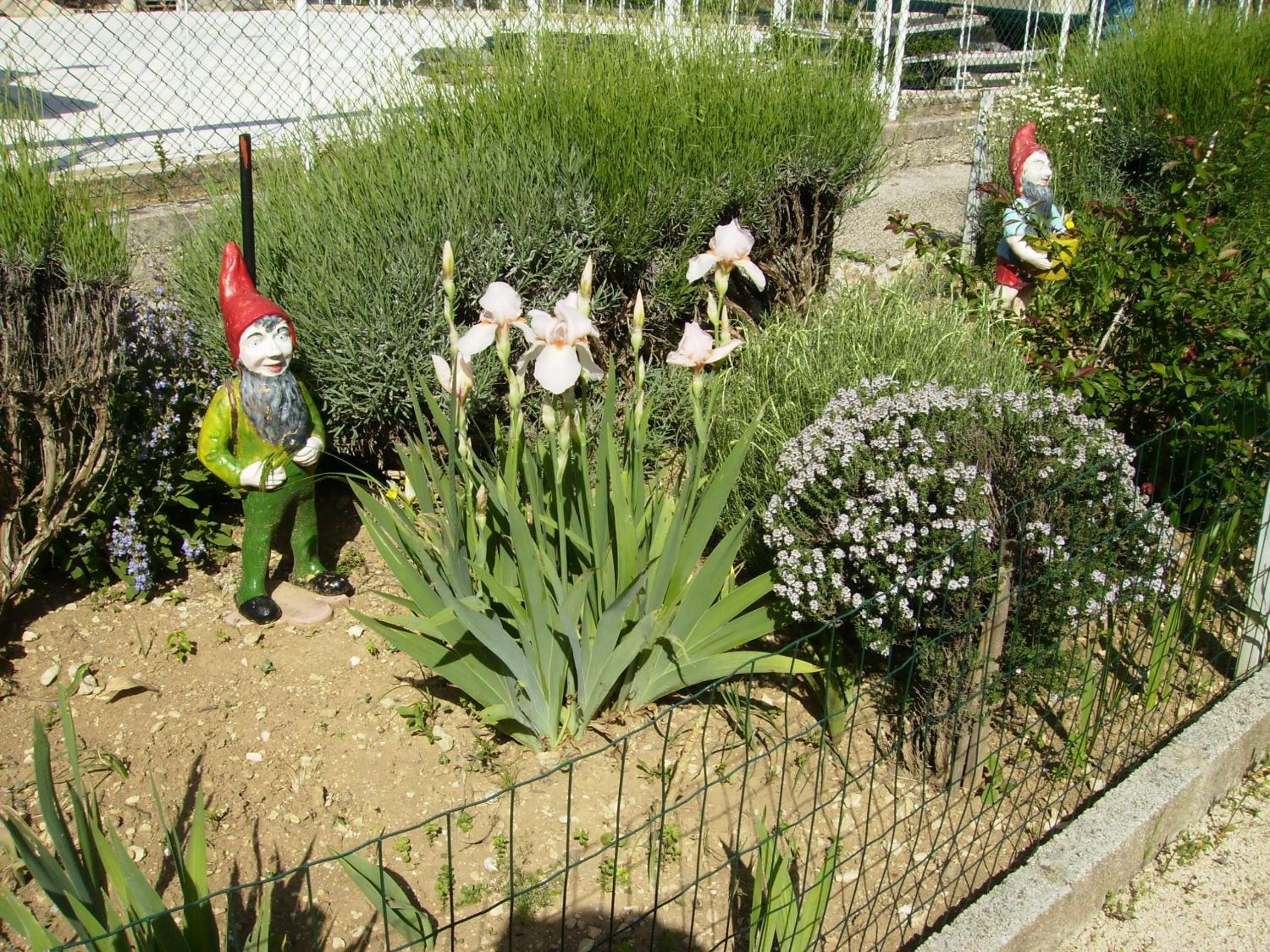 Photo 31