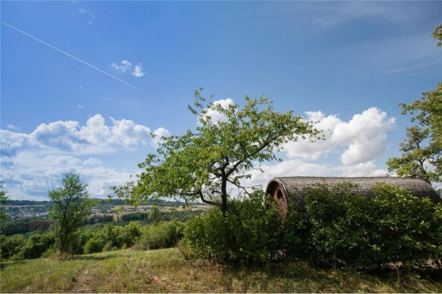Le Chalet du Chemin et sa Roulotte view 3