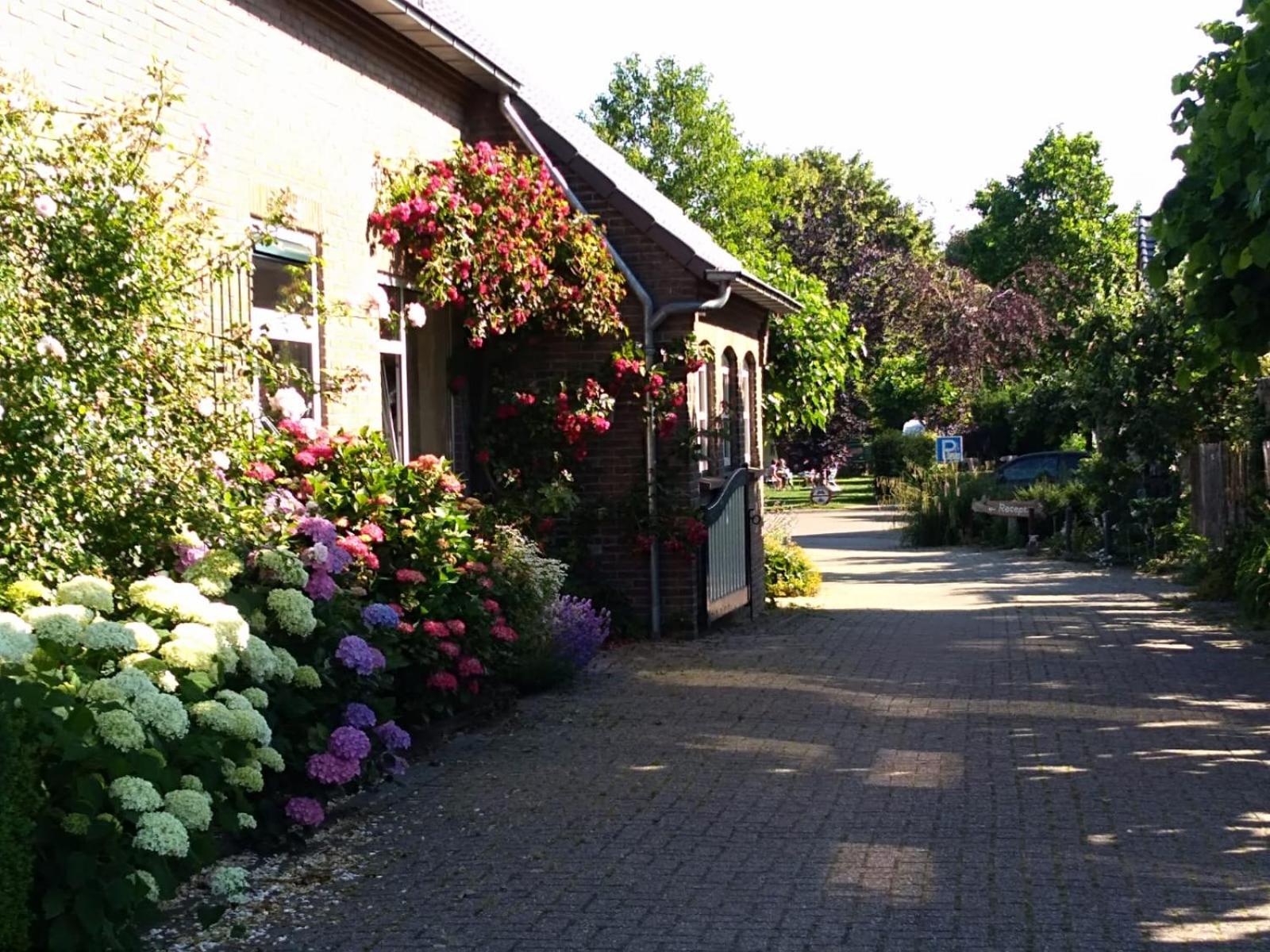 De Zoete Aagt view 5