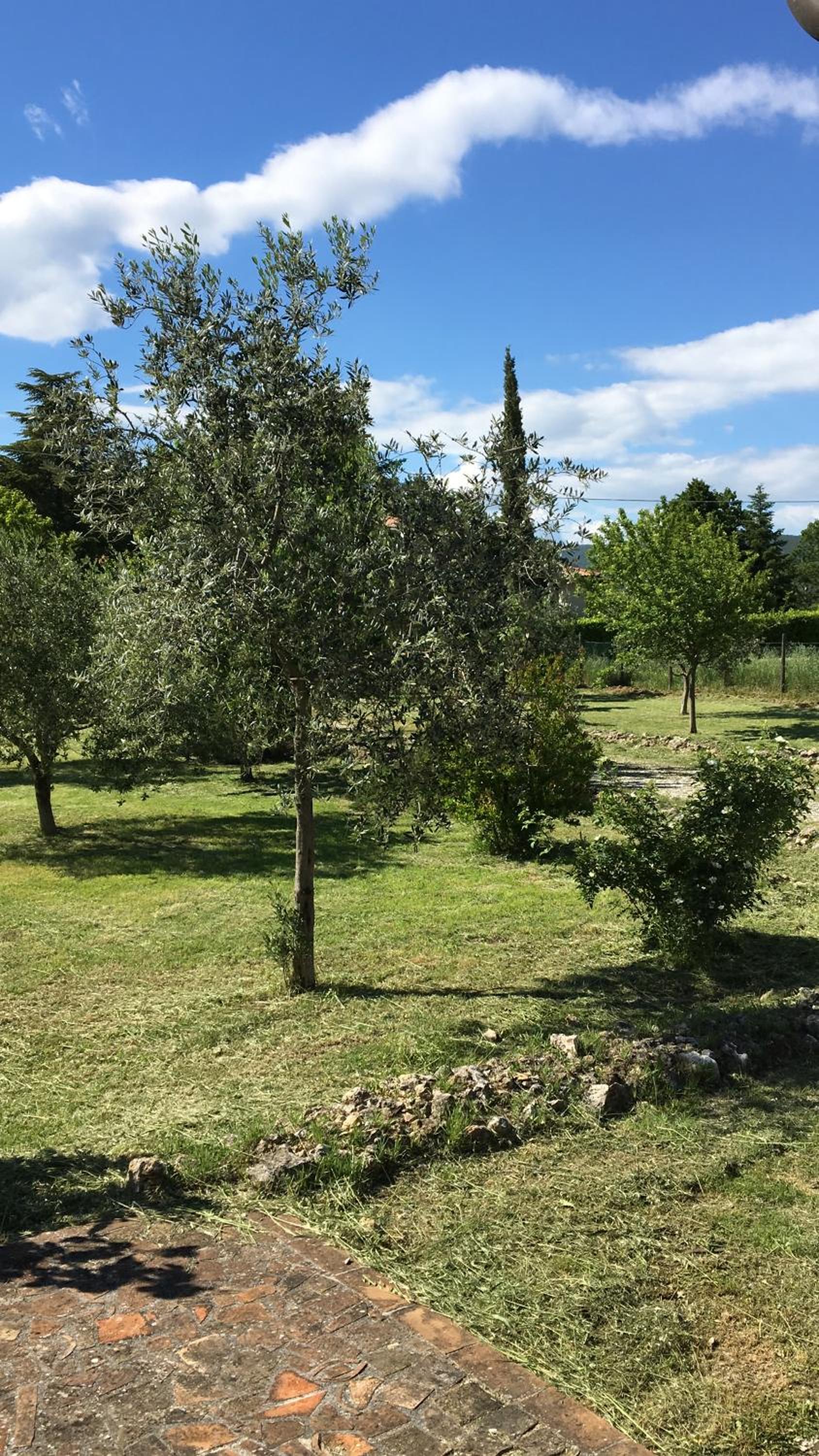 Strada delle Zamponare 1 photo 3