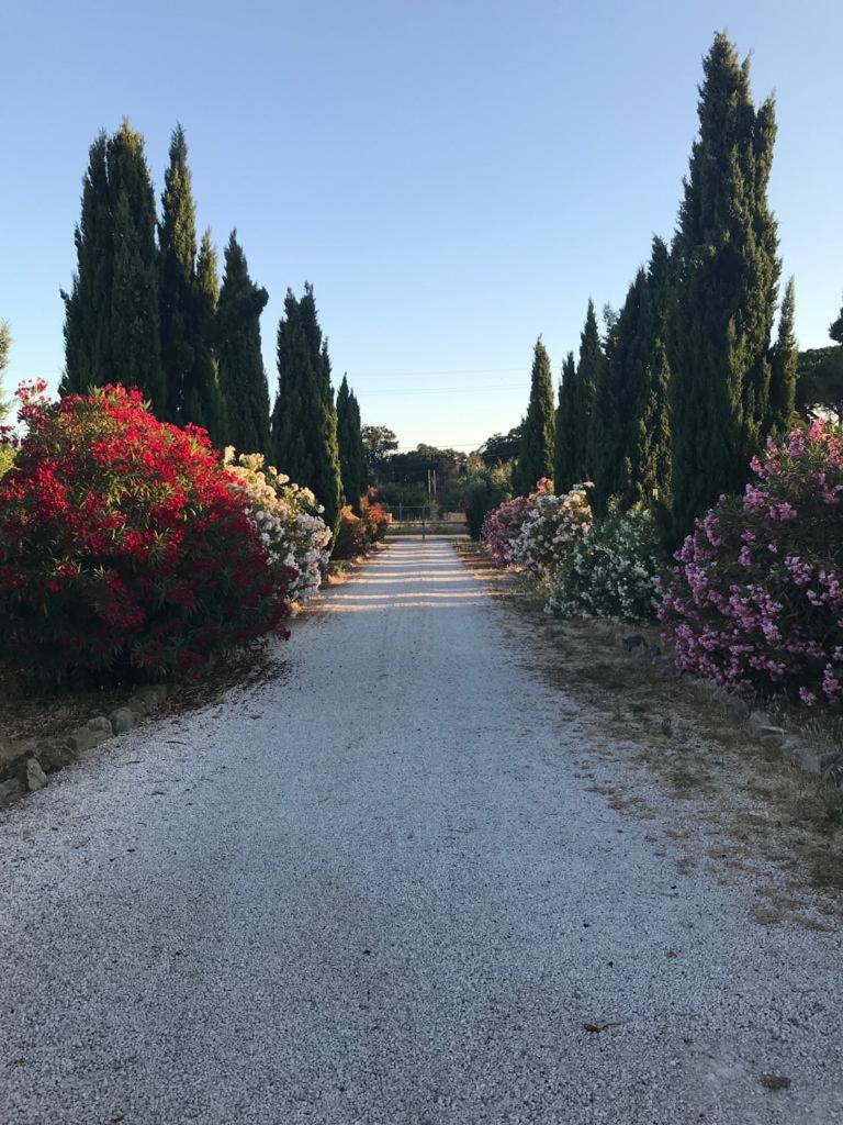 Casale Elisa
