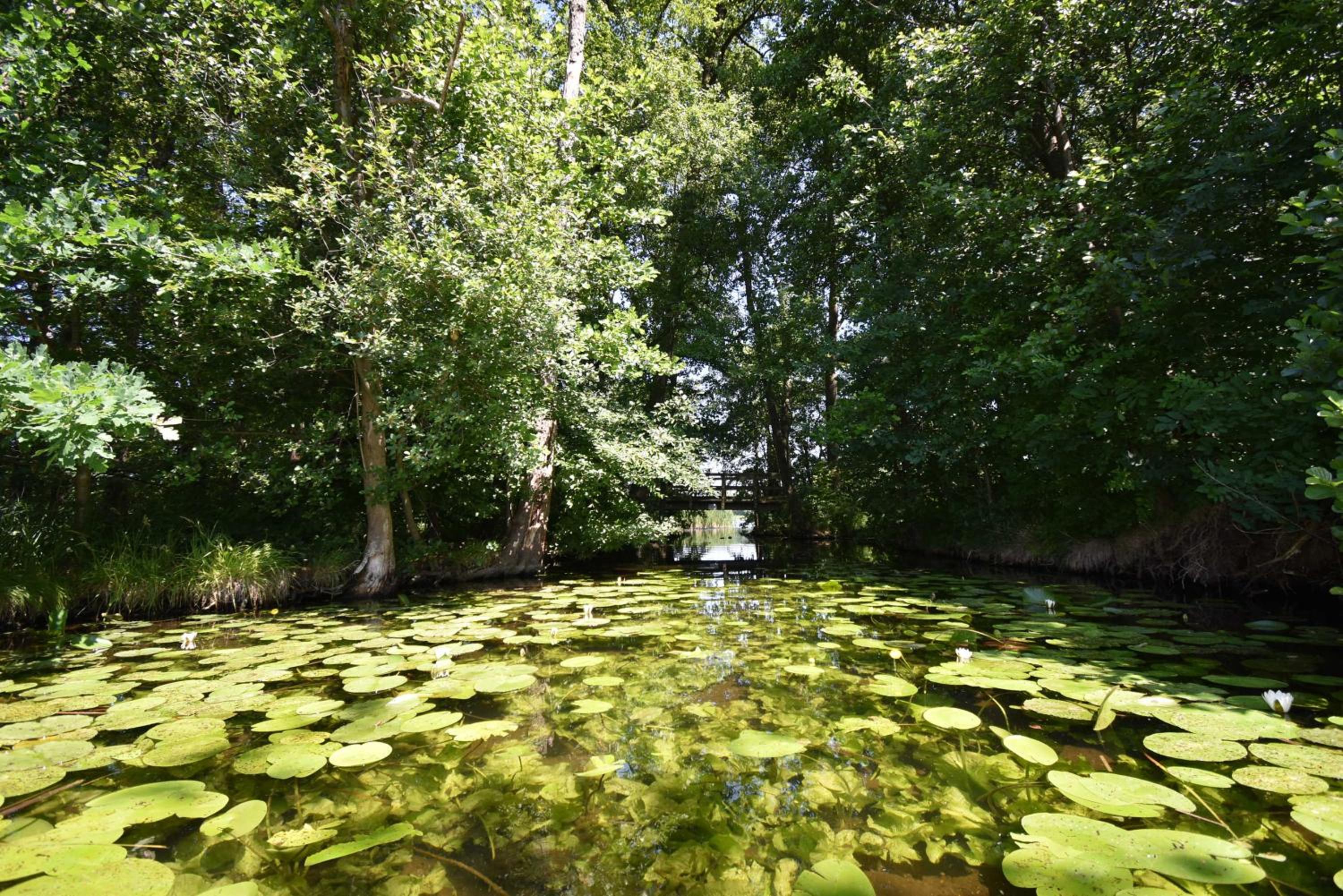 5 Sterne-Ferienhaus-See-Sauna-Kamin-Garten im Naturpark