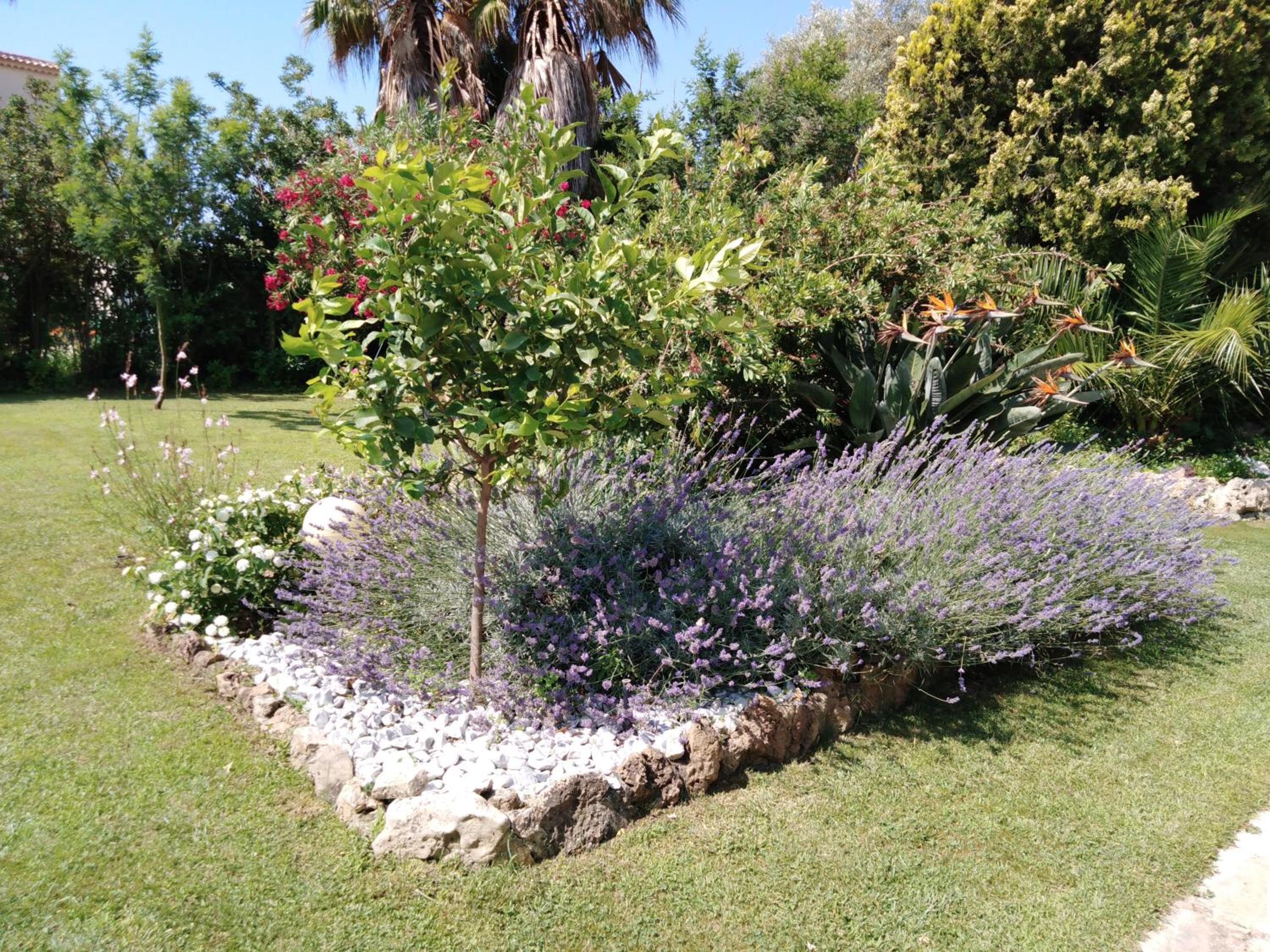 Photo 43