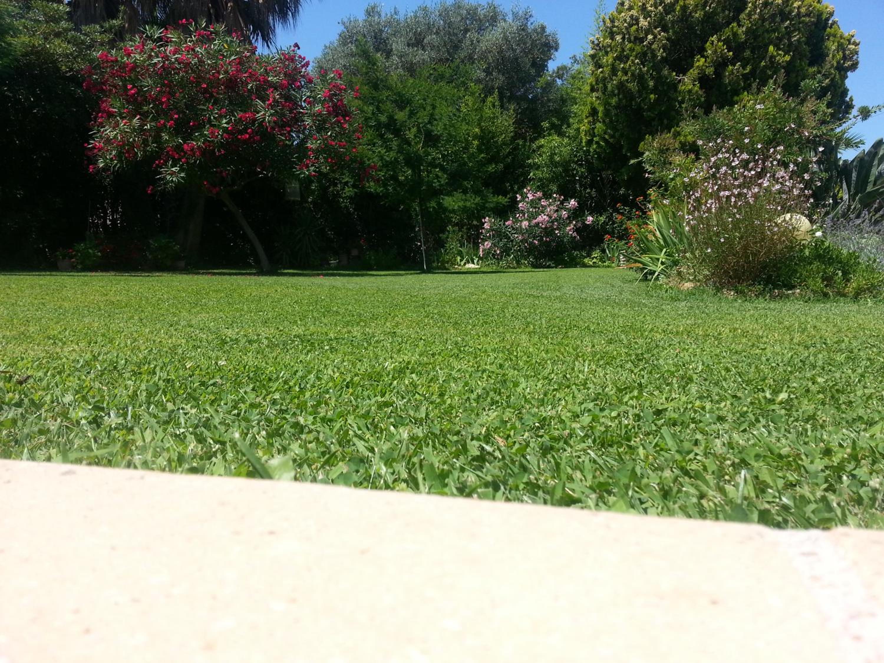 Photo 38