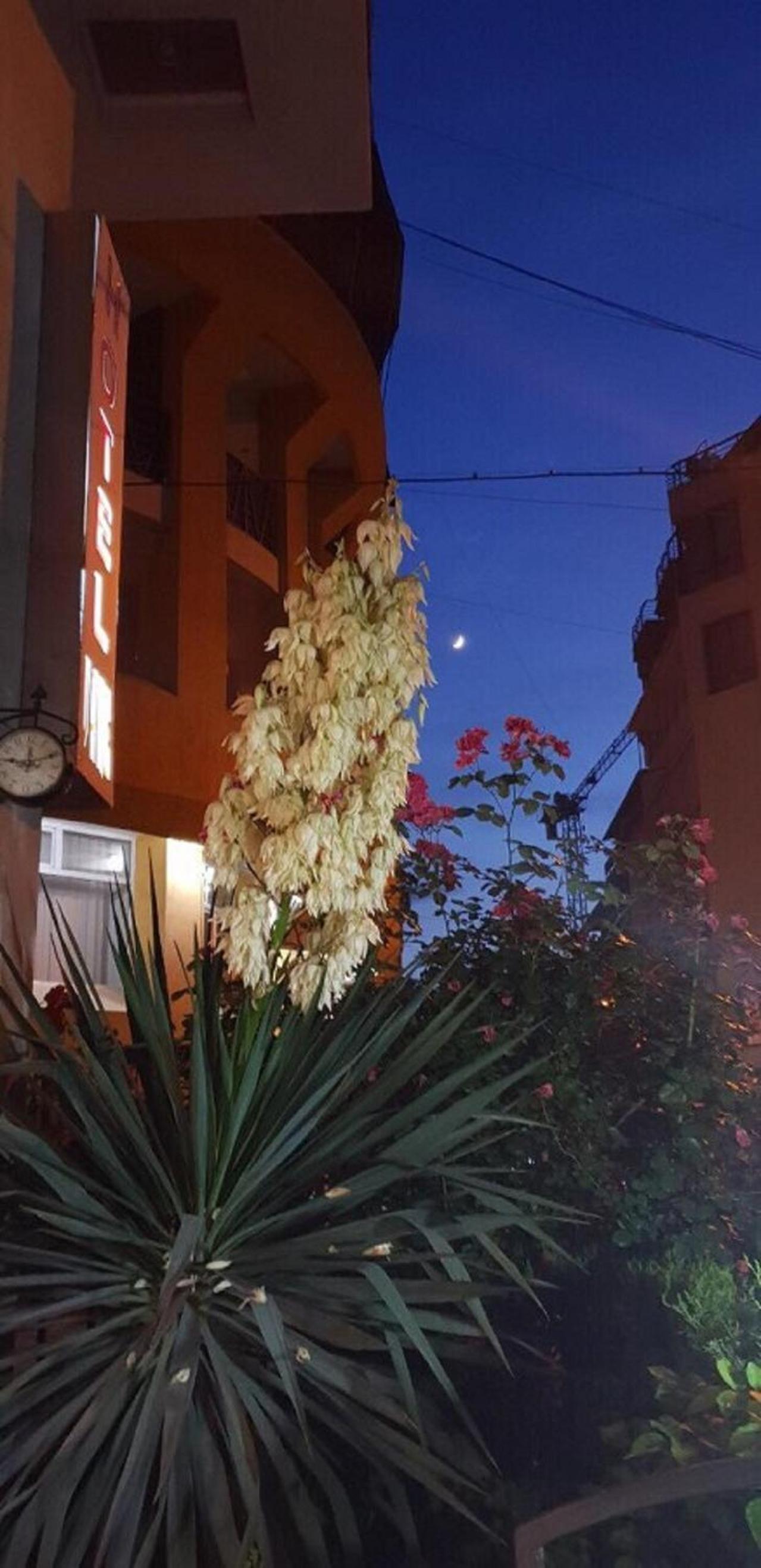 Vake Boutique Hotel