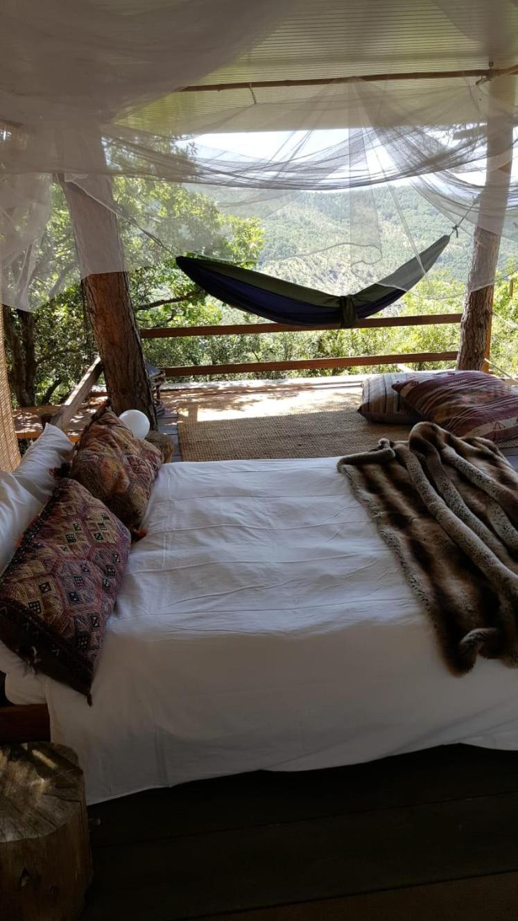 Casa sull'albero - Only for lovers Experience - photo 3