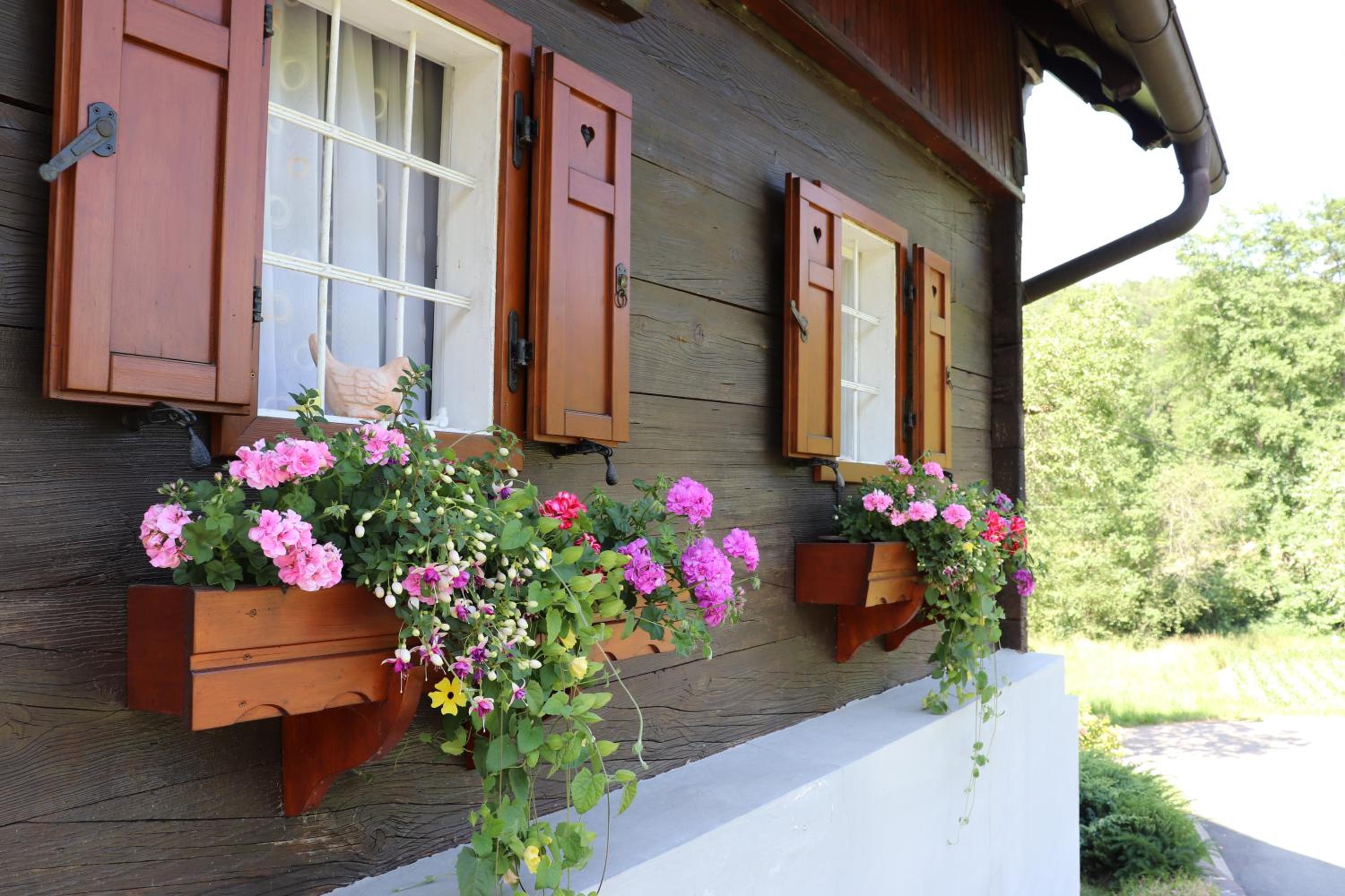 Ferienhaus Aurelia