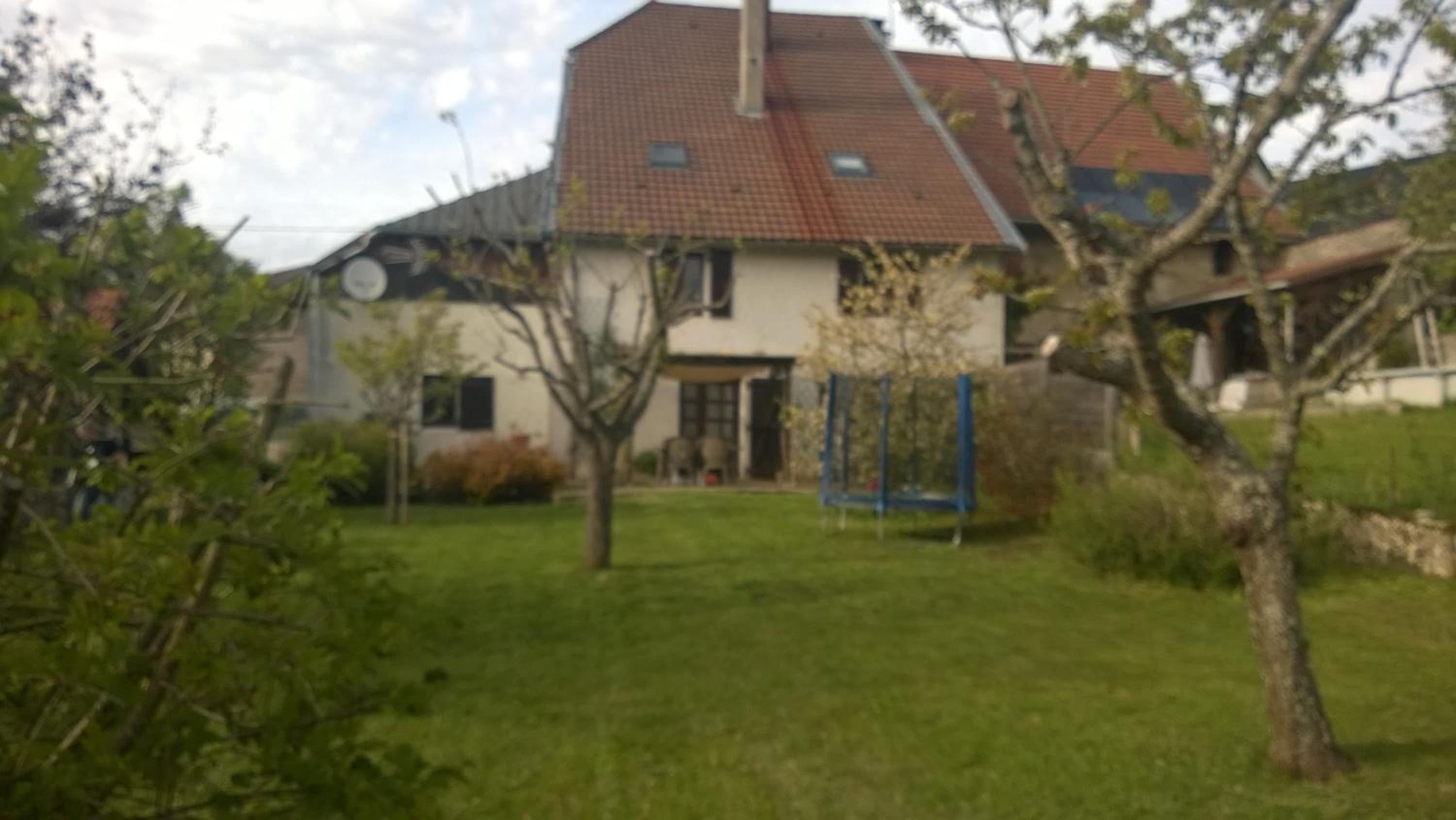 Chambres D'Hotes La Maison Des Chiens Verts