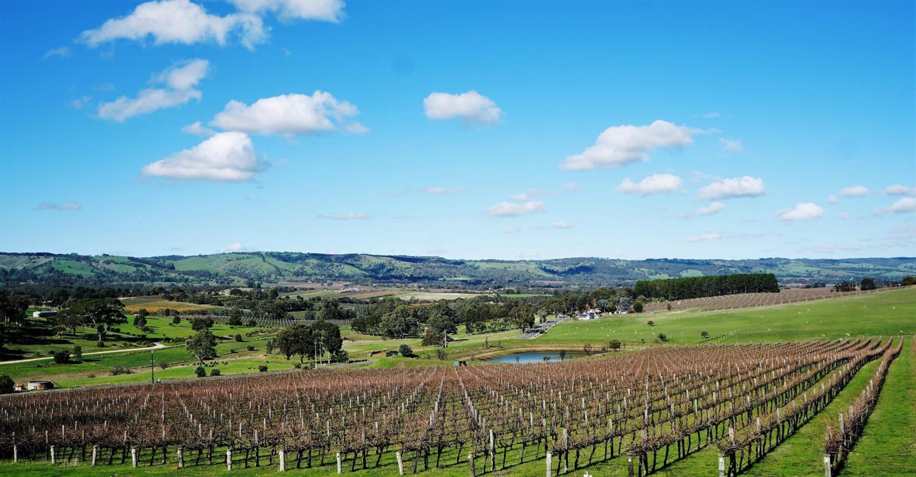 Amongst the Vines Deluxe Retreat