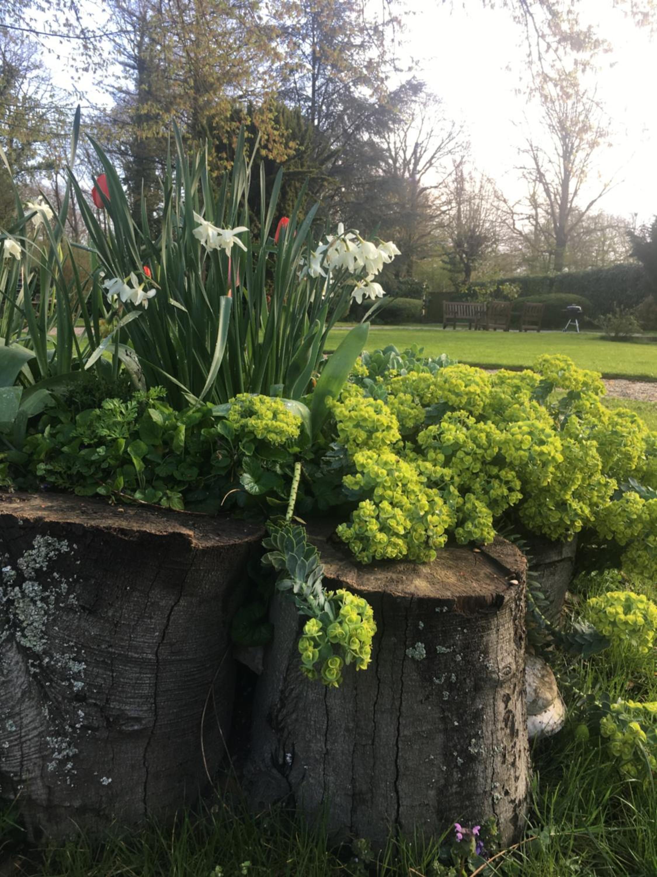 Le Clos de la Pomponnette - Property Image 3