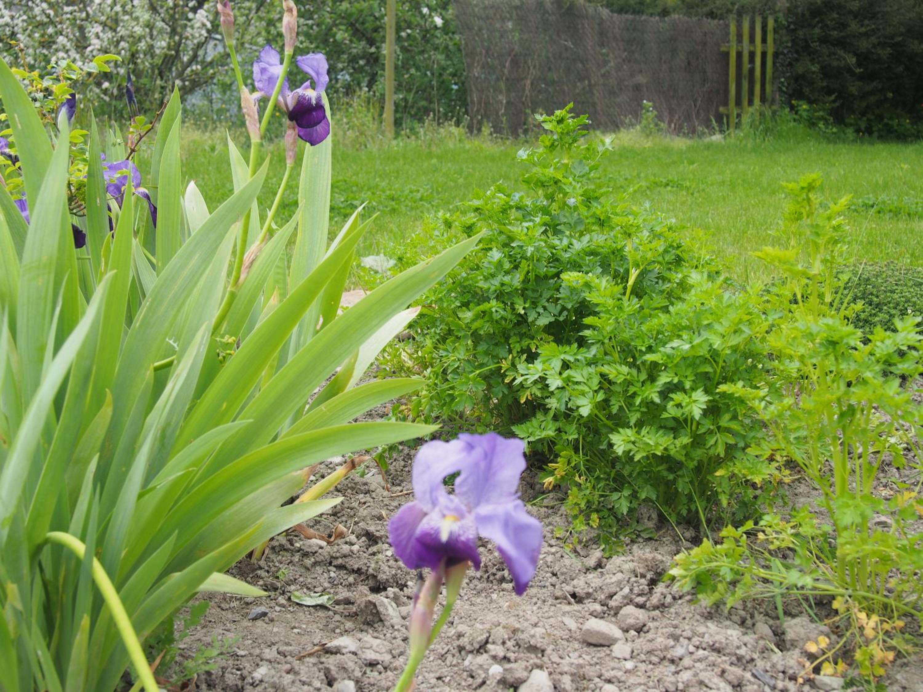 Photo 16