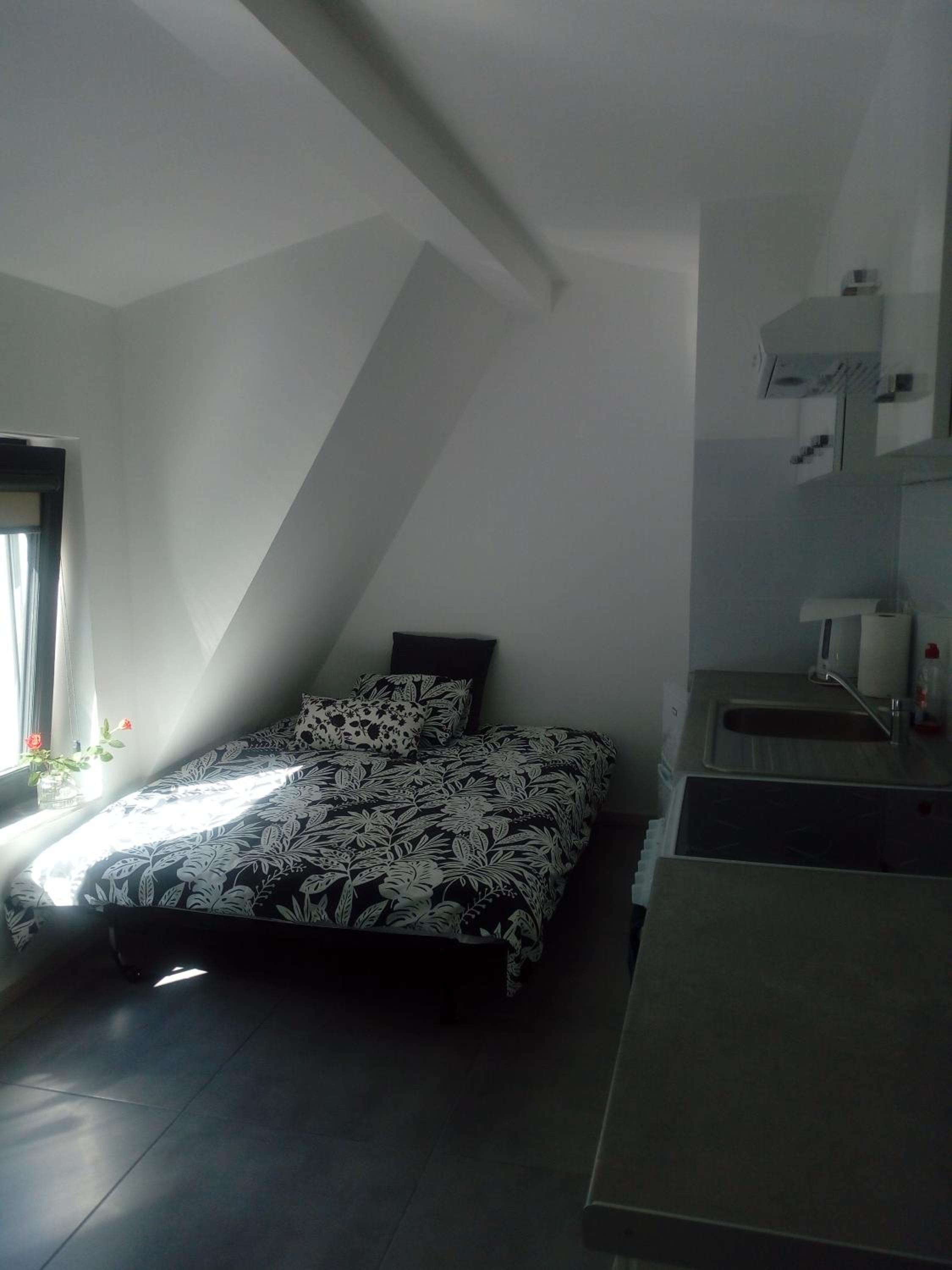 Villa Centrum, photo 55