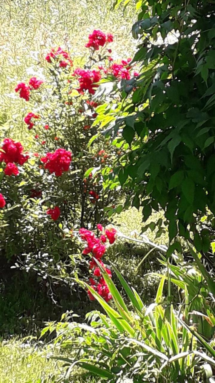 Photo 28