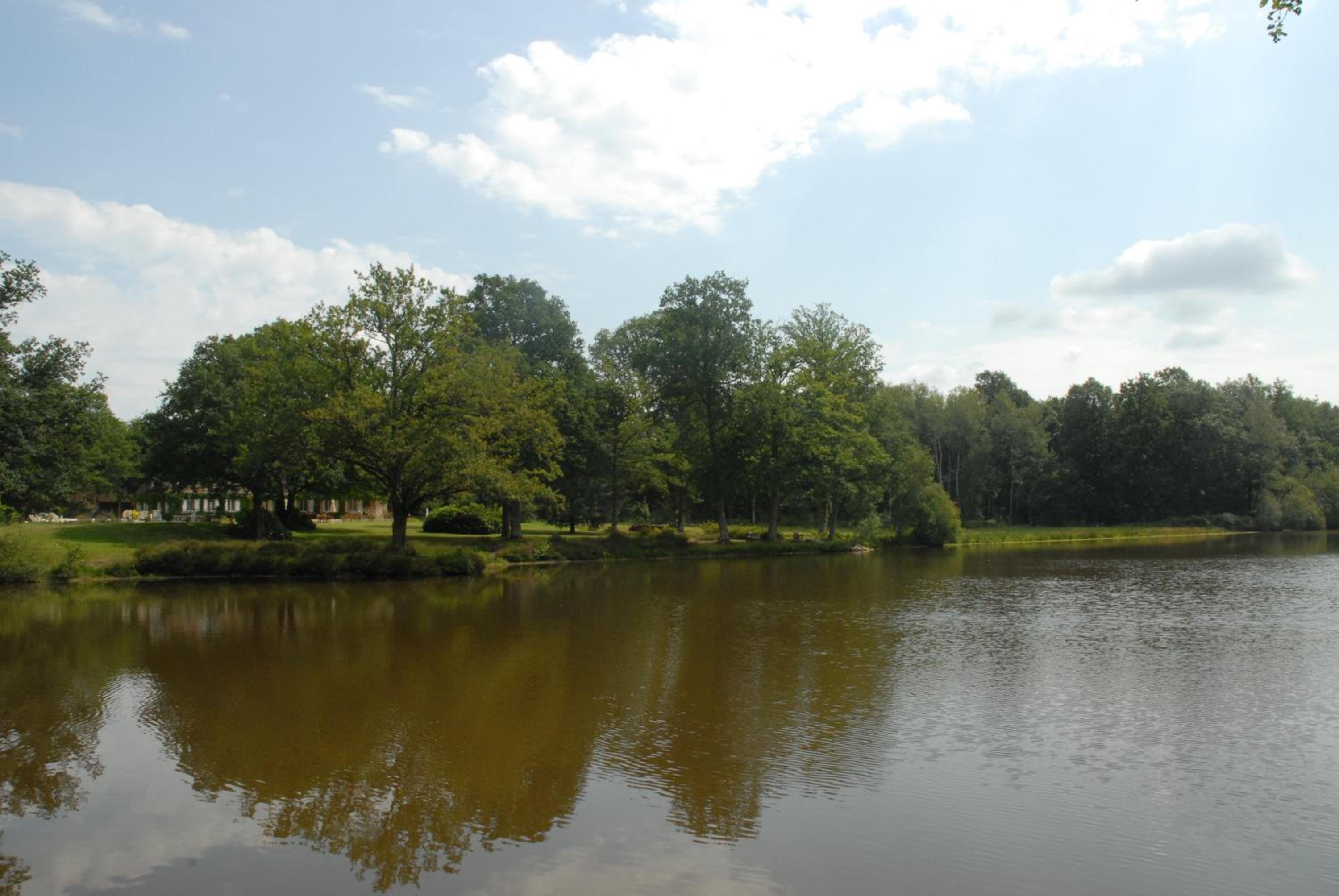 Photo 40