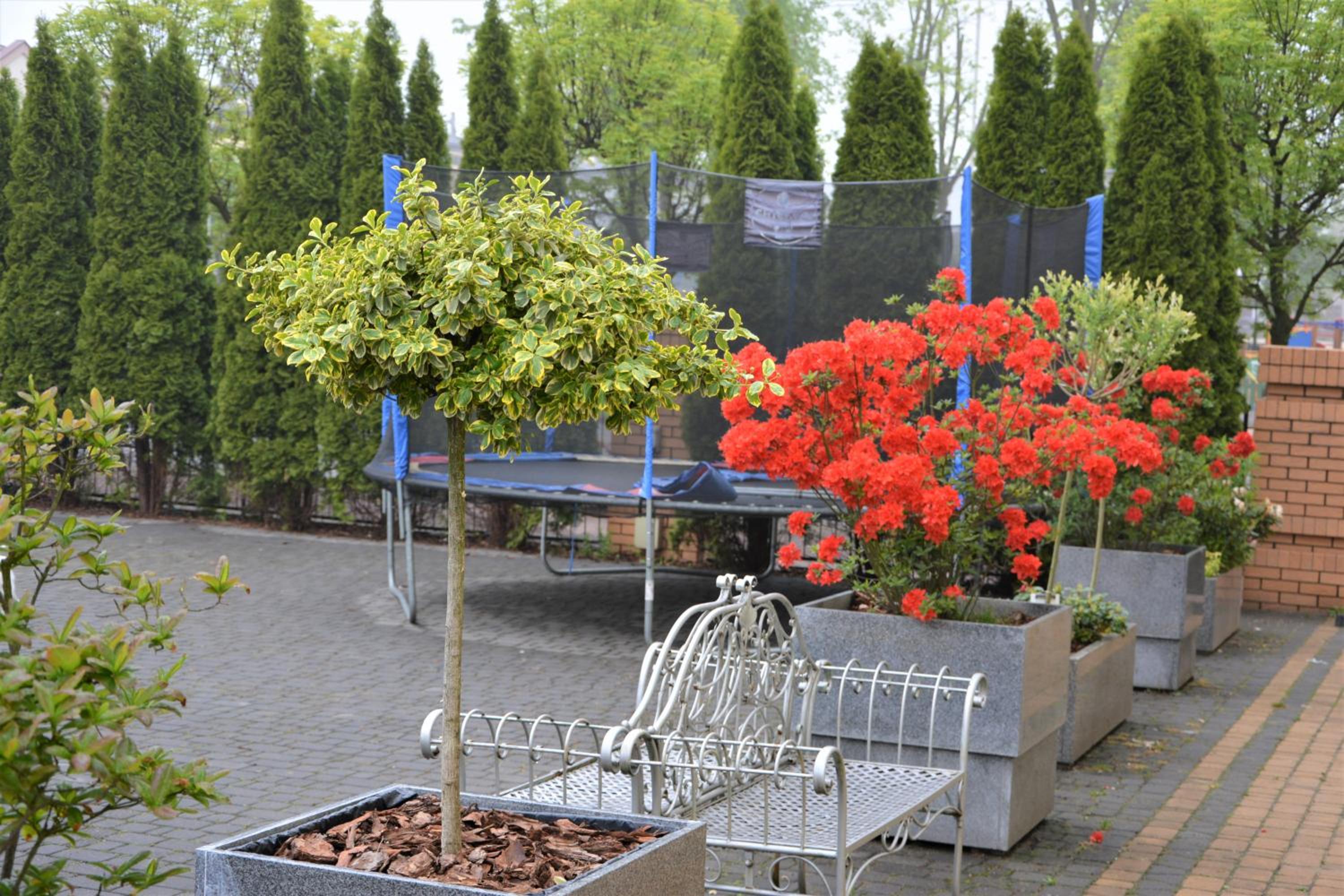 outdoor BBQ area