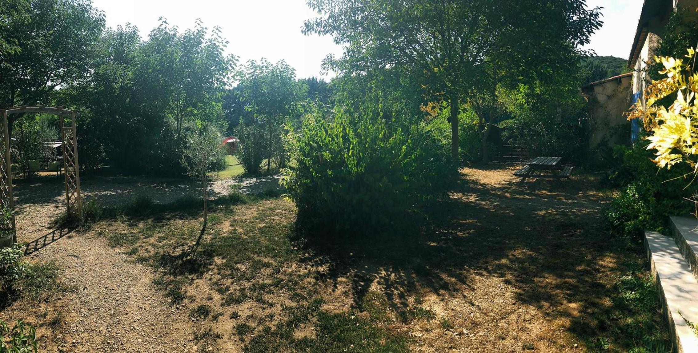 Photo 7