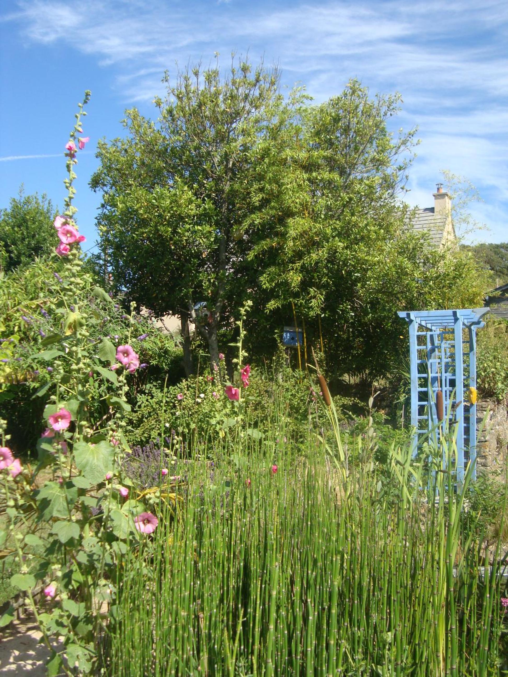 Photo 17