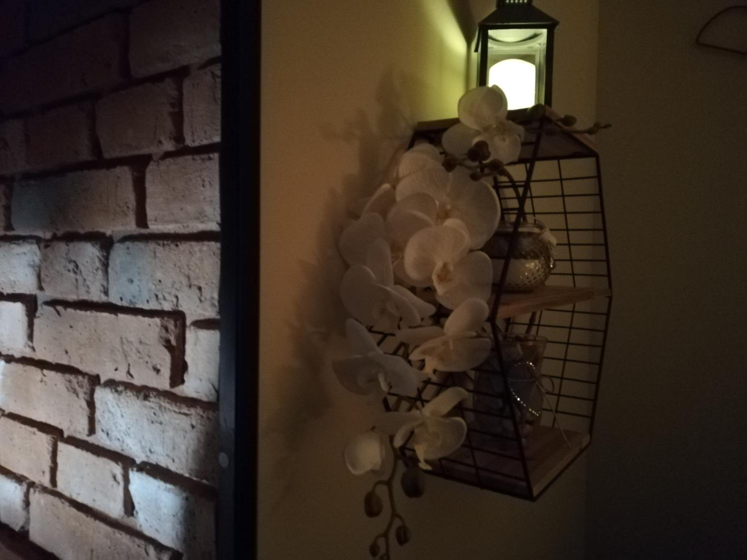 Papaver Apartament