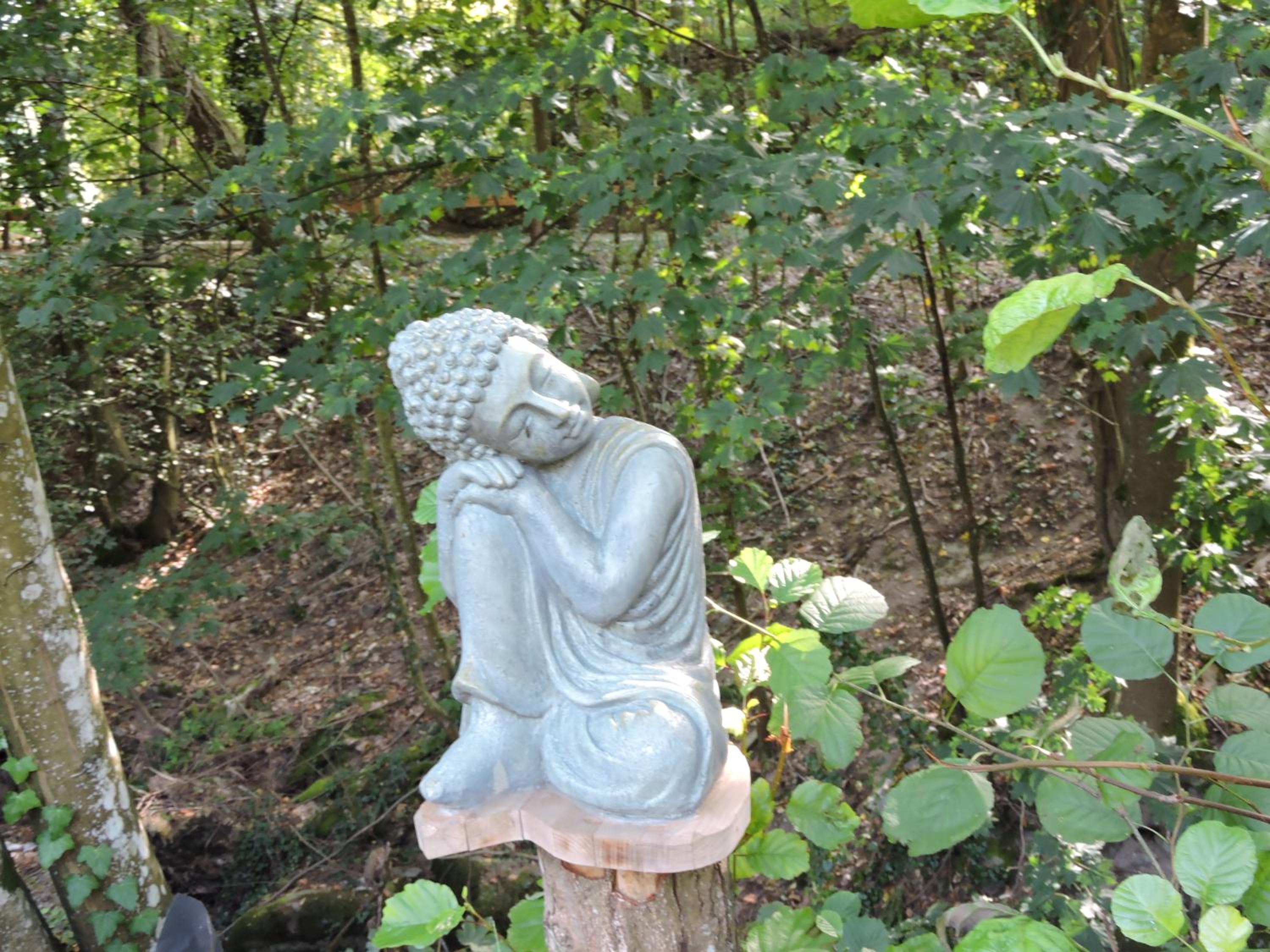 Photo 29