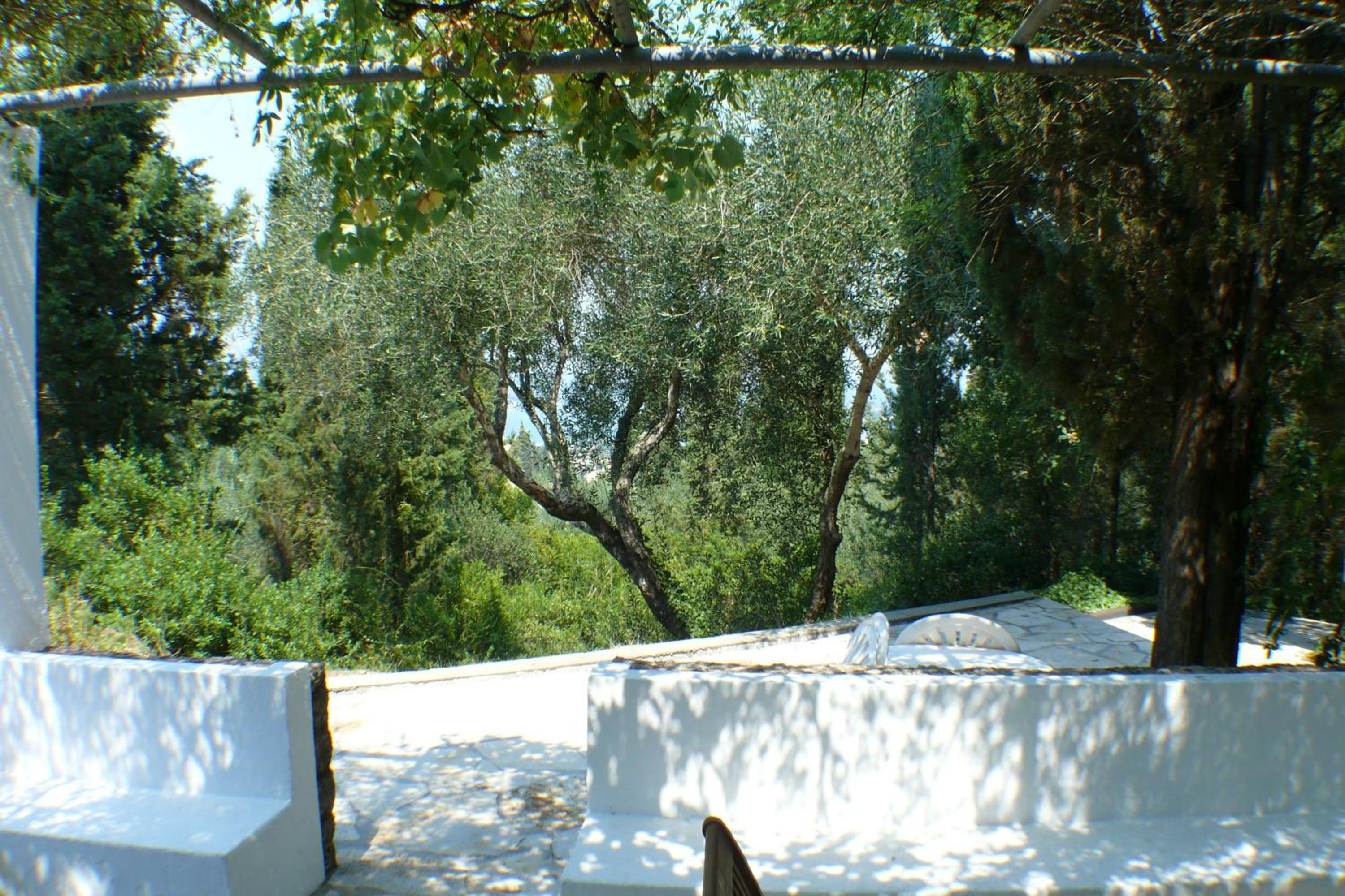 Photo 49