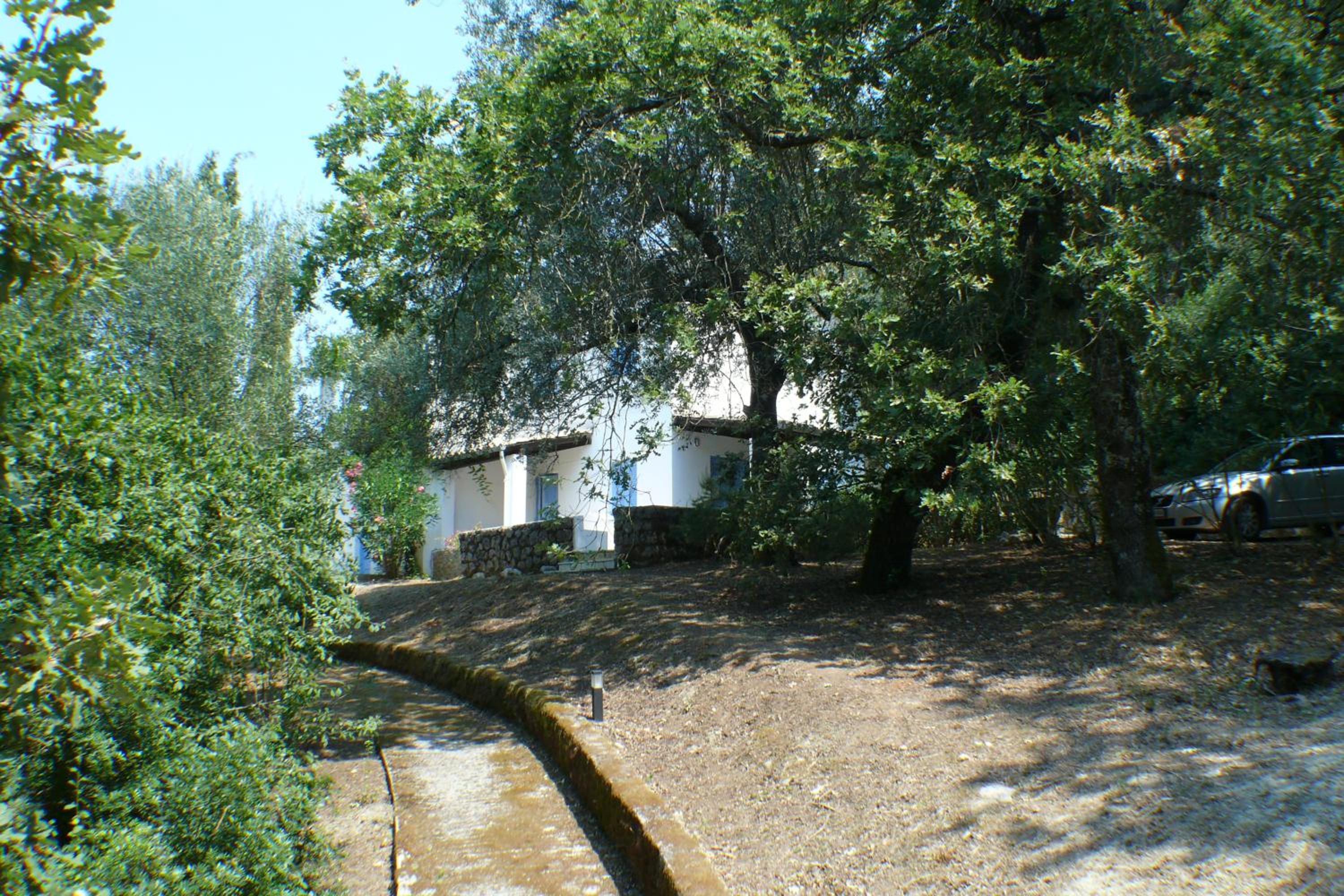 Photo 50