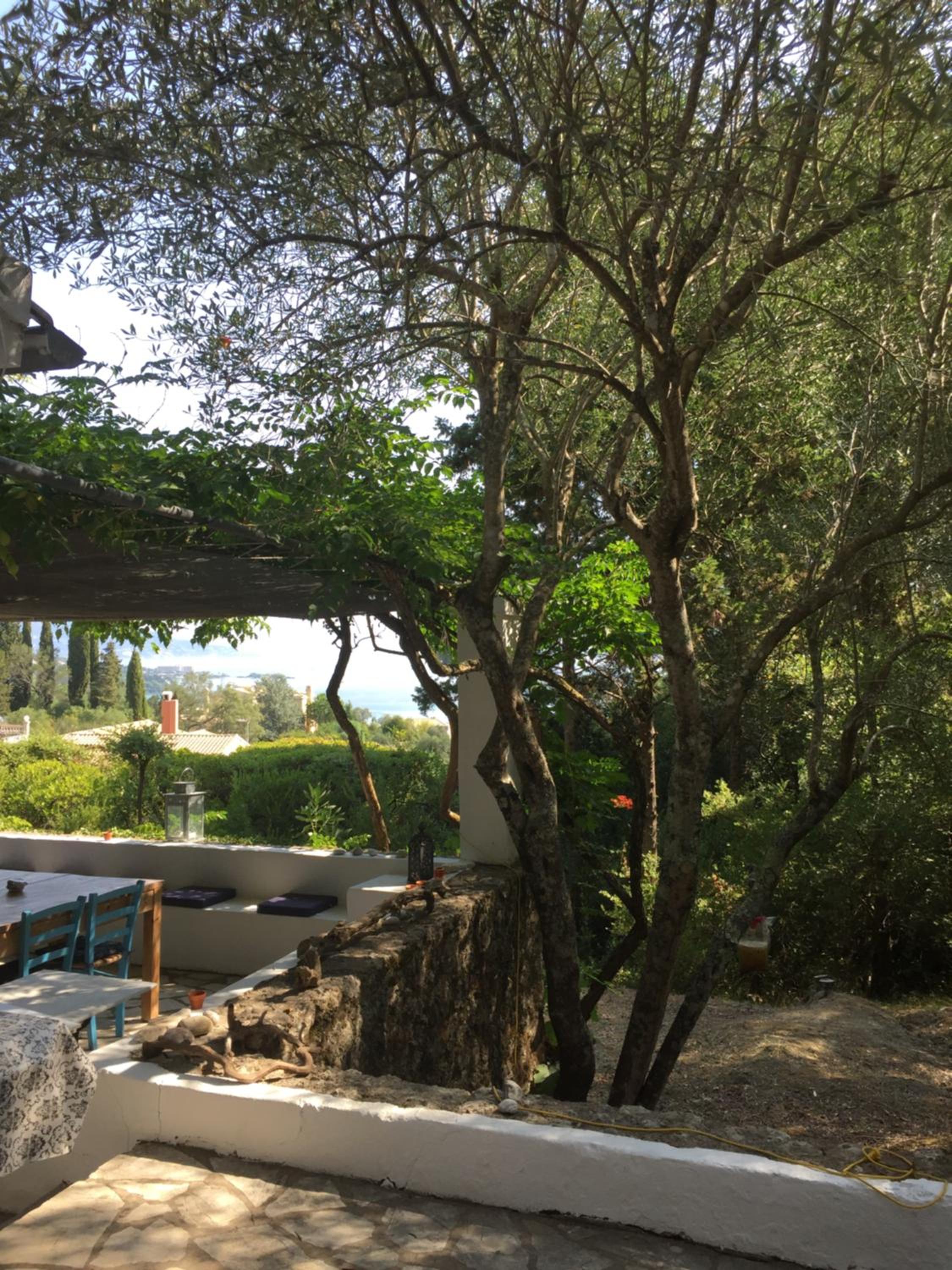 Photo 48